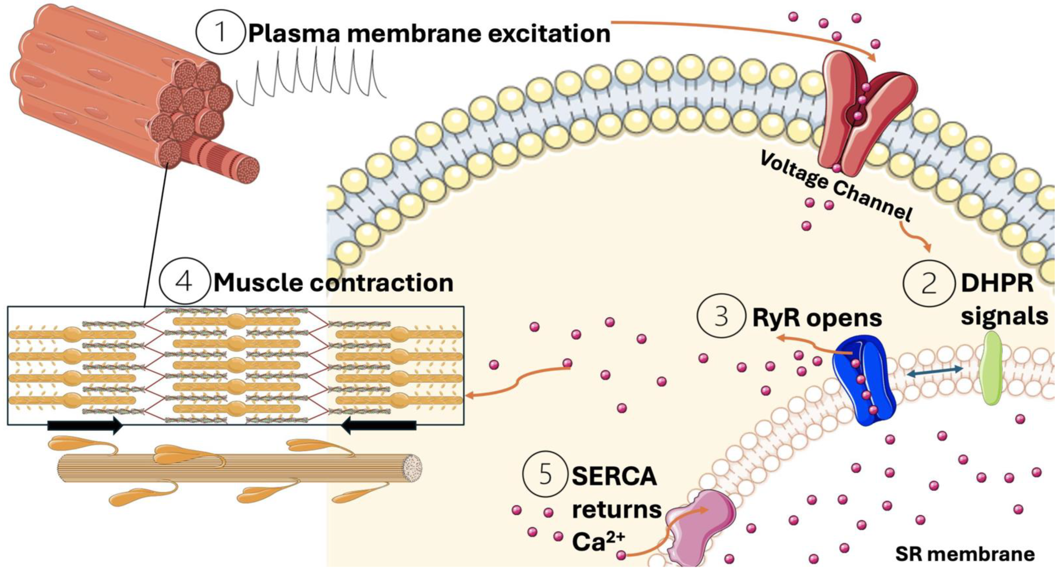 Jcm 13 06641 g003 Jcm 13 06641 g003