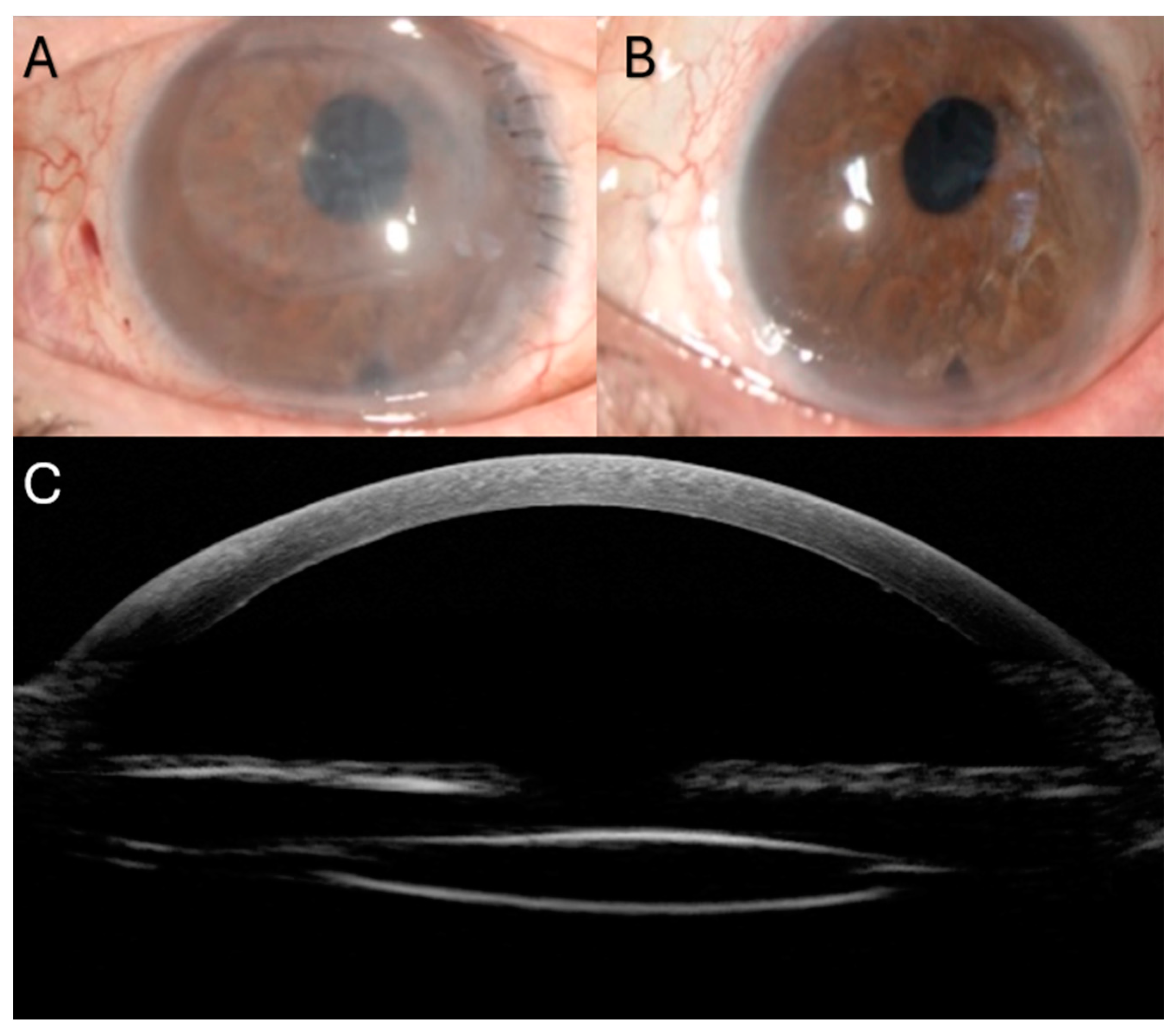 Jcm 13 06654 g004 Jcm 13 06654 g004