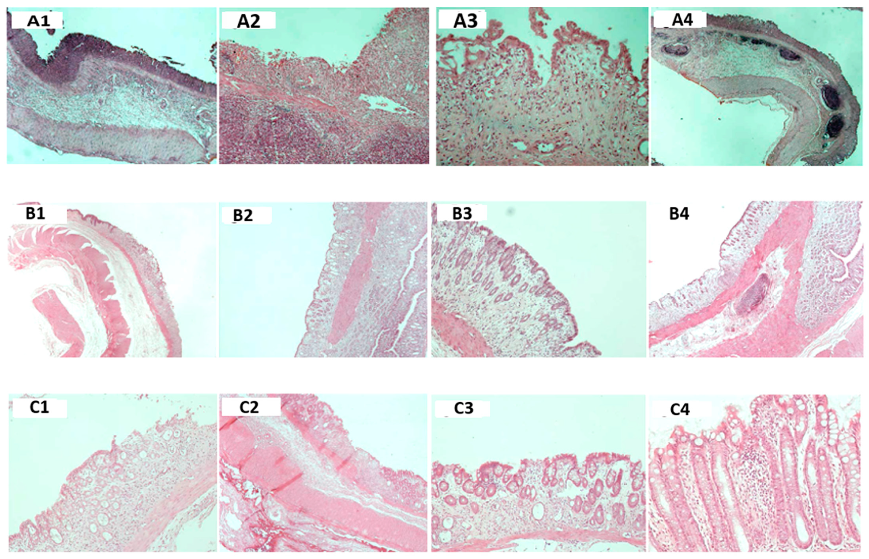 Jcm 13 06661 g002 Jcm 13 06661 g002