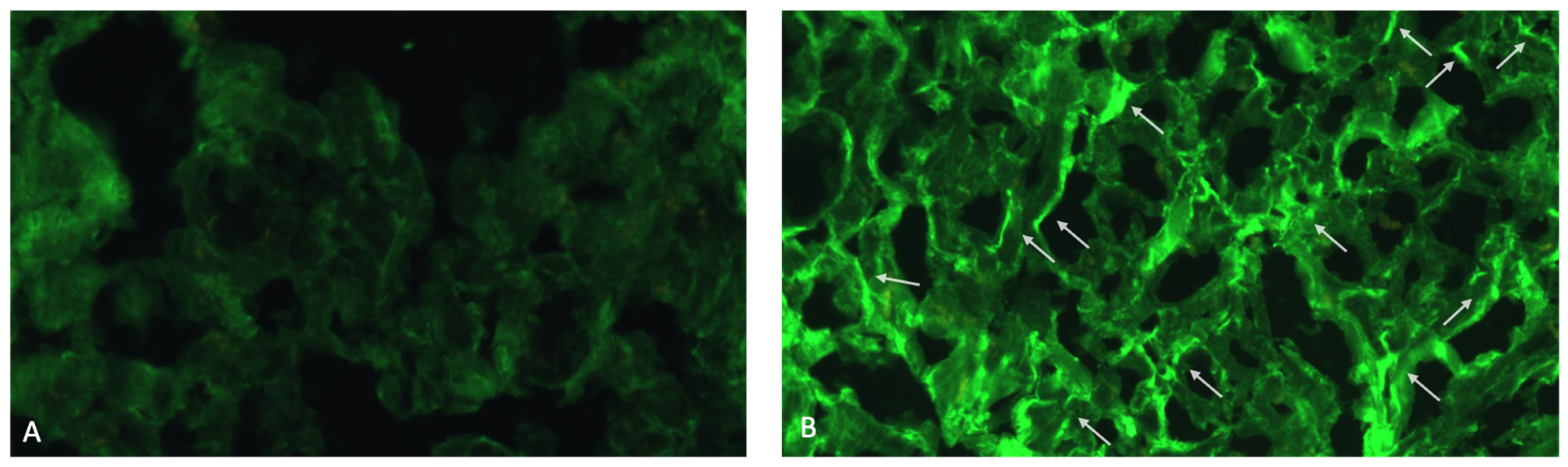 Jcm 13 06736 g004 Jcm 13 06736 g004
