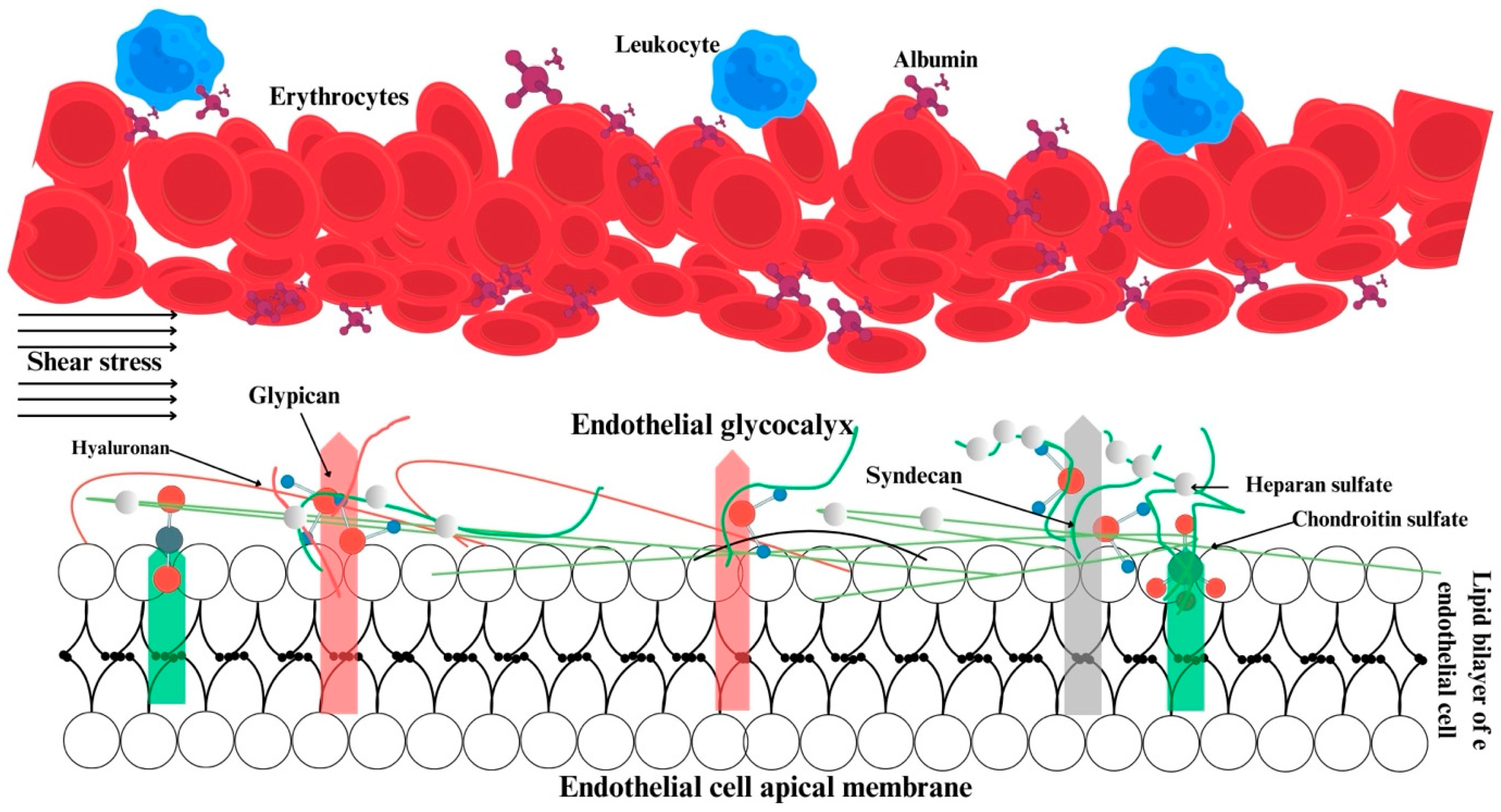 Jcm 13 06762 g001 Jcm 13 06762 g001