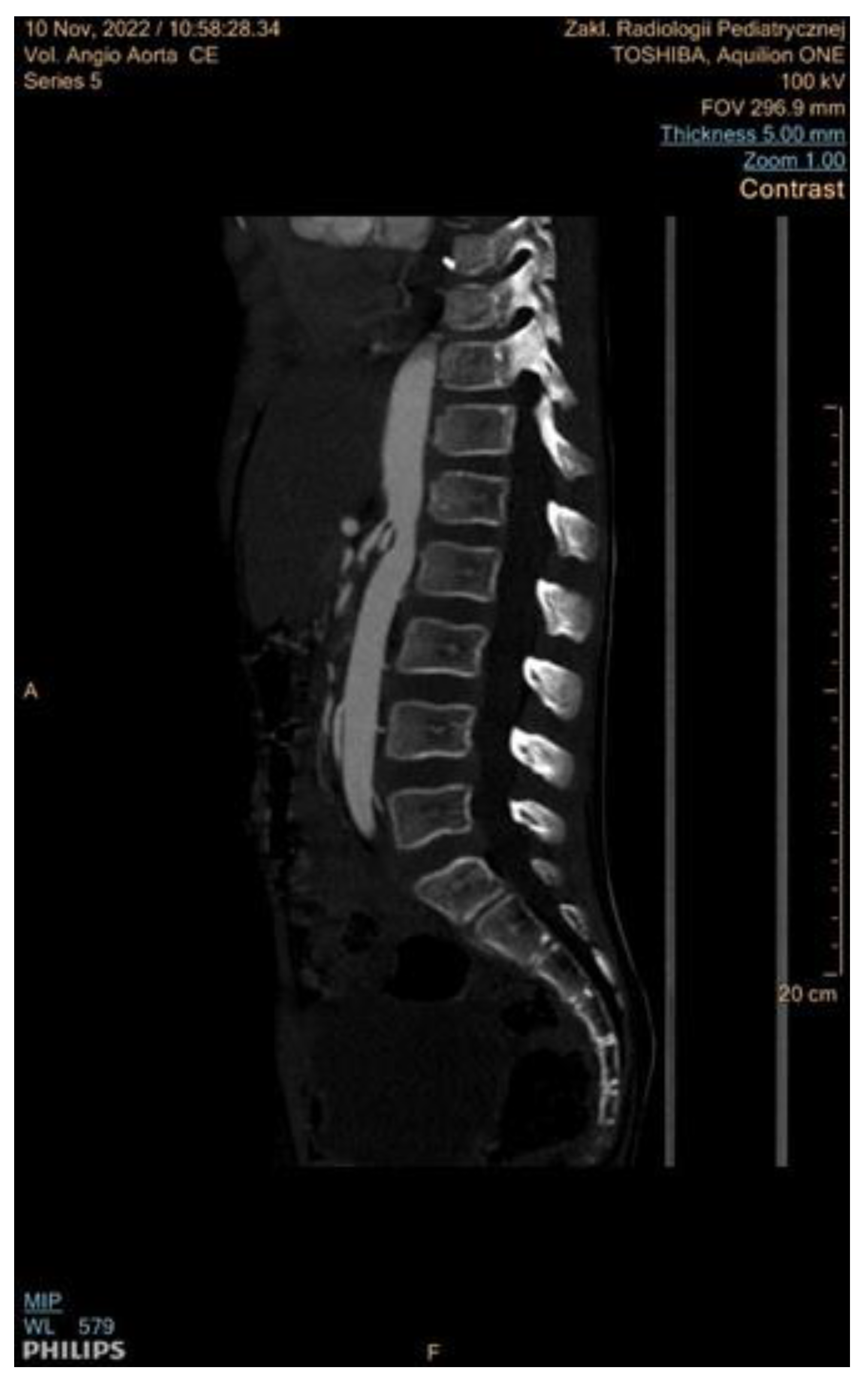 Jcm 13 06778 g006 Jcm 13 06778 g006