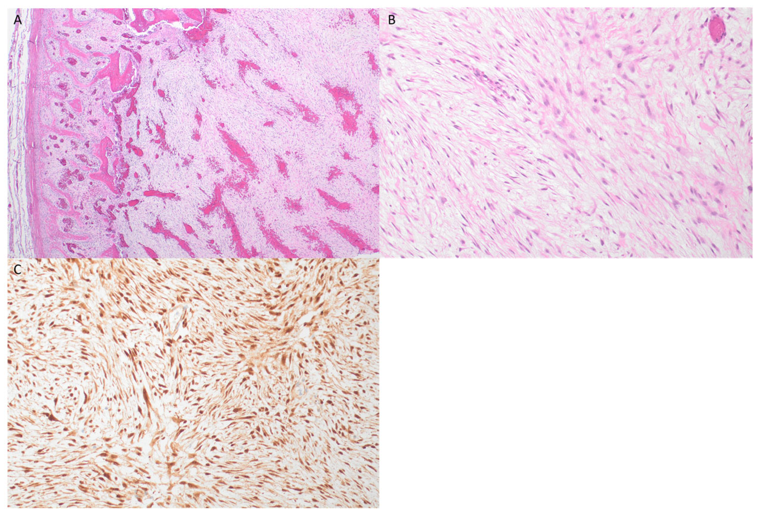 Jcm 13 06818 g002 Jcm 13 06818 g002