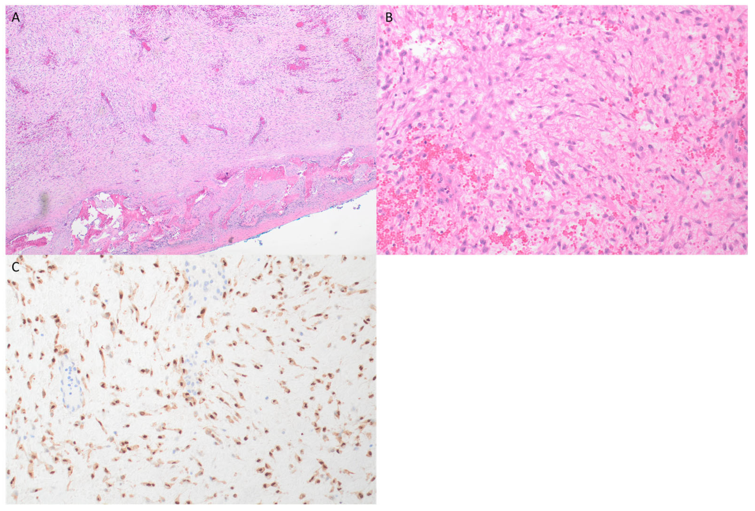 Jcm 13 06818 g005 Jcm 13 06818 g005