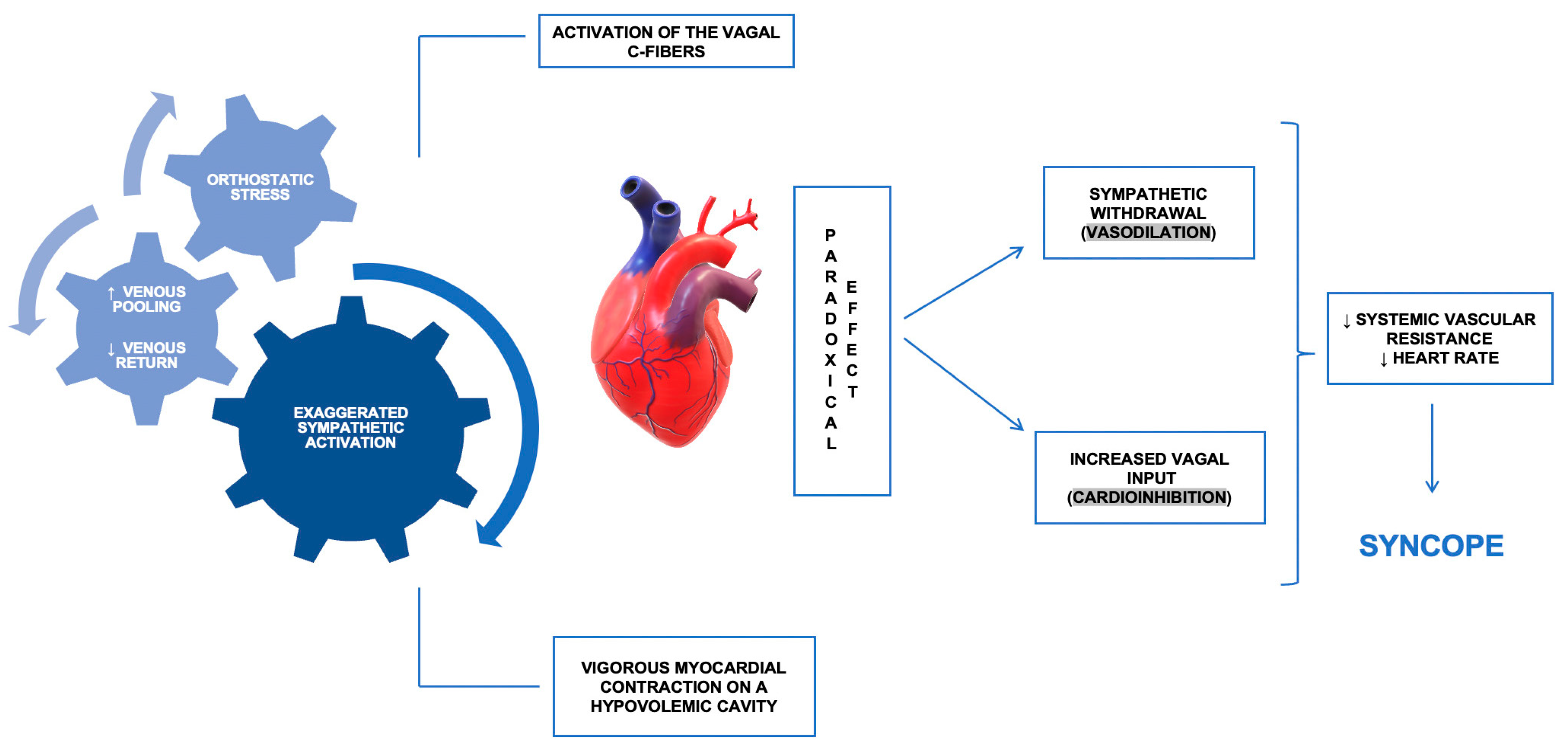 Jcm 13 06852 g001 Jcm 13 06852 g001