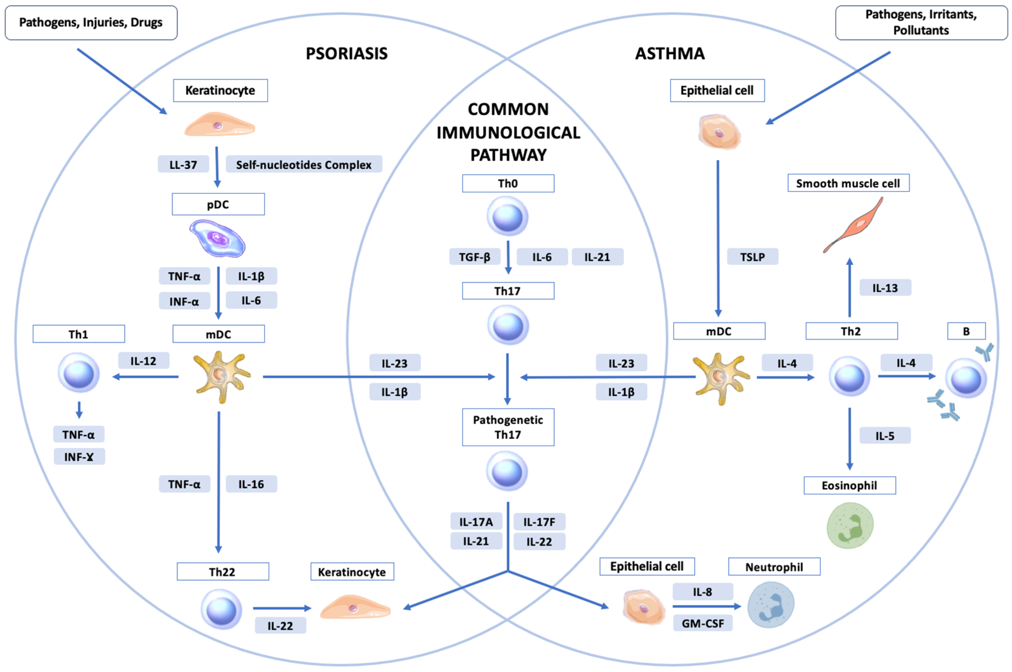 Jcm 13 06991 g001 Jcm 13 06991 g001
