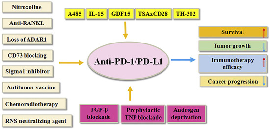 Role of Proteins in Oncology: Advances in Cancer Diagnosis, Prognosis ...