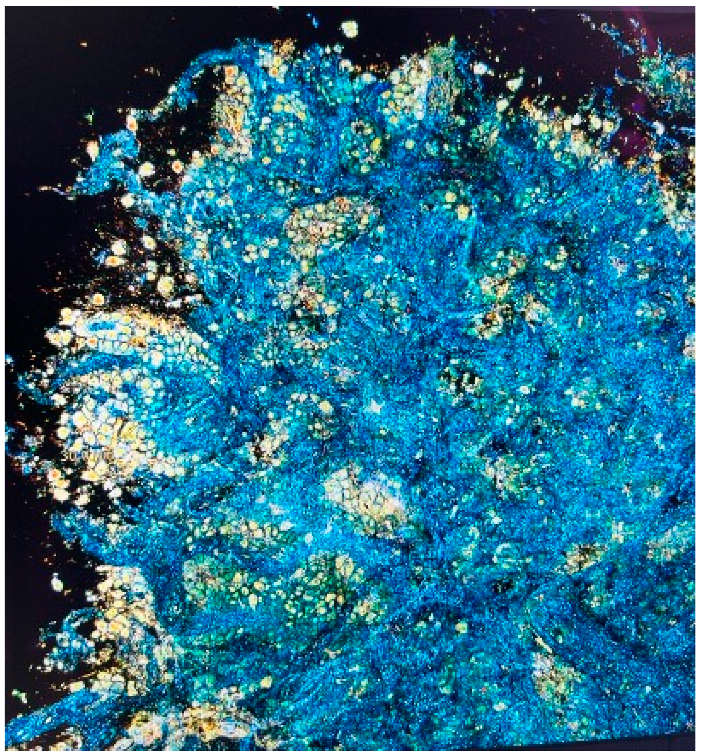 Jcm 13 07207 g002 Jcm 13 07207 g002