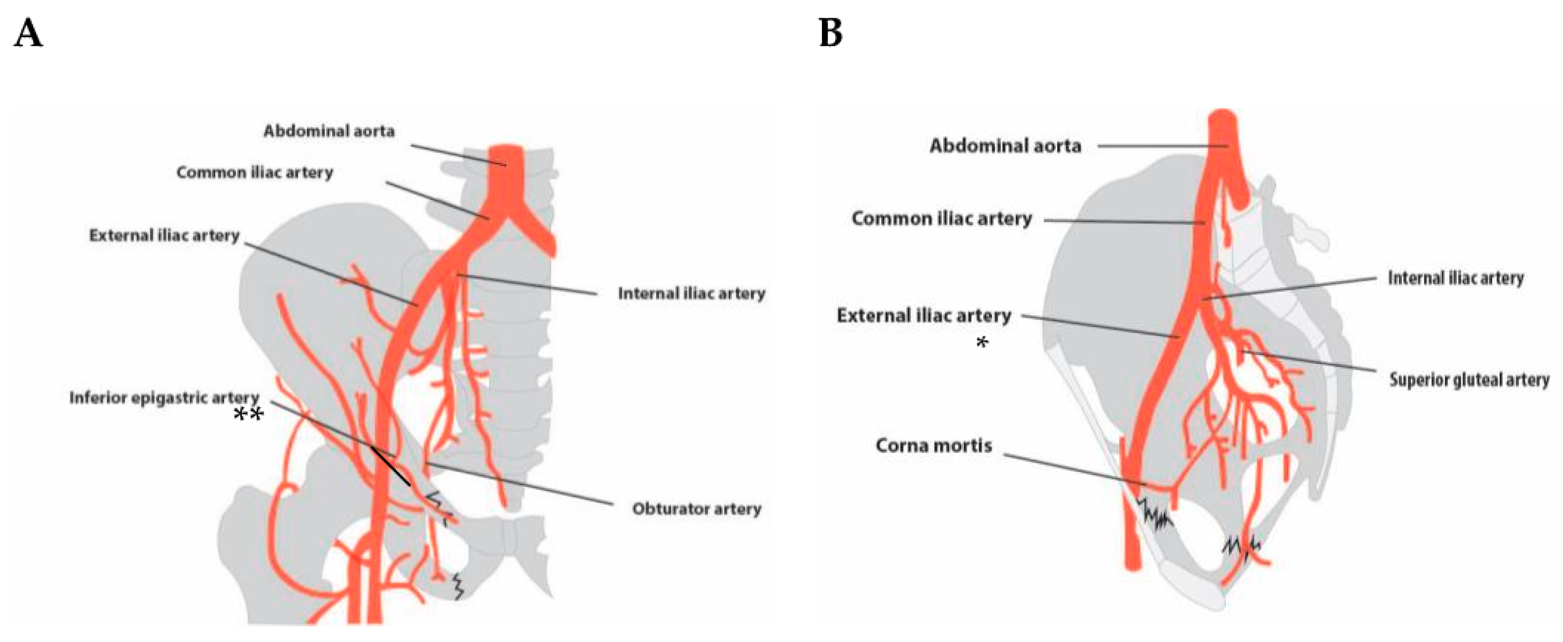 Jcm 13 07223 g002 Jcm 13 07223 g002