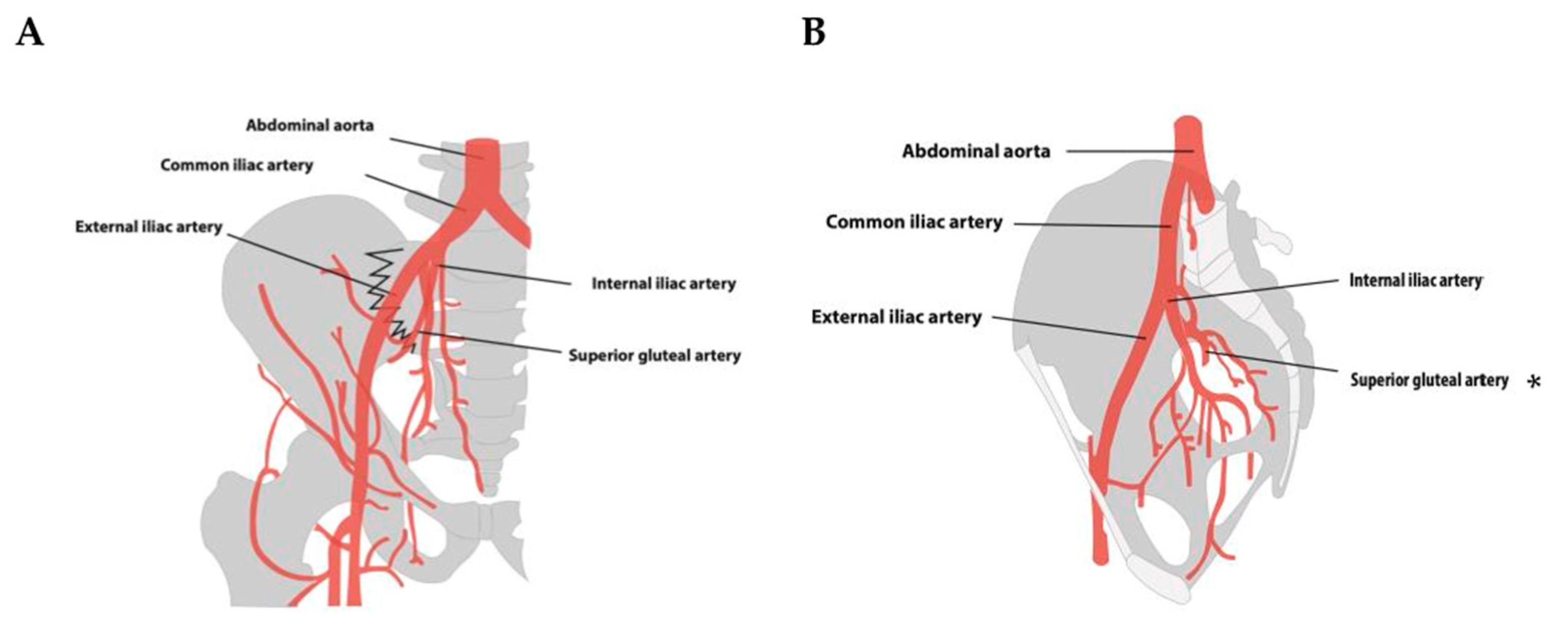 Jcm 13 07223 g003 Jcm 13 07223 g003