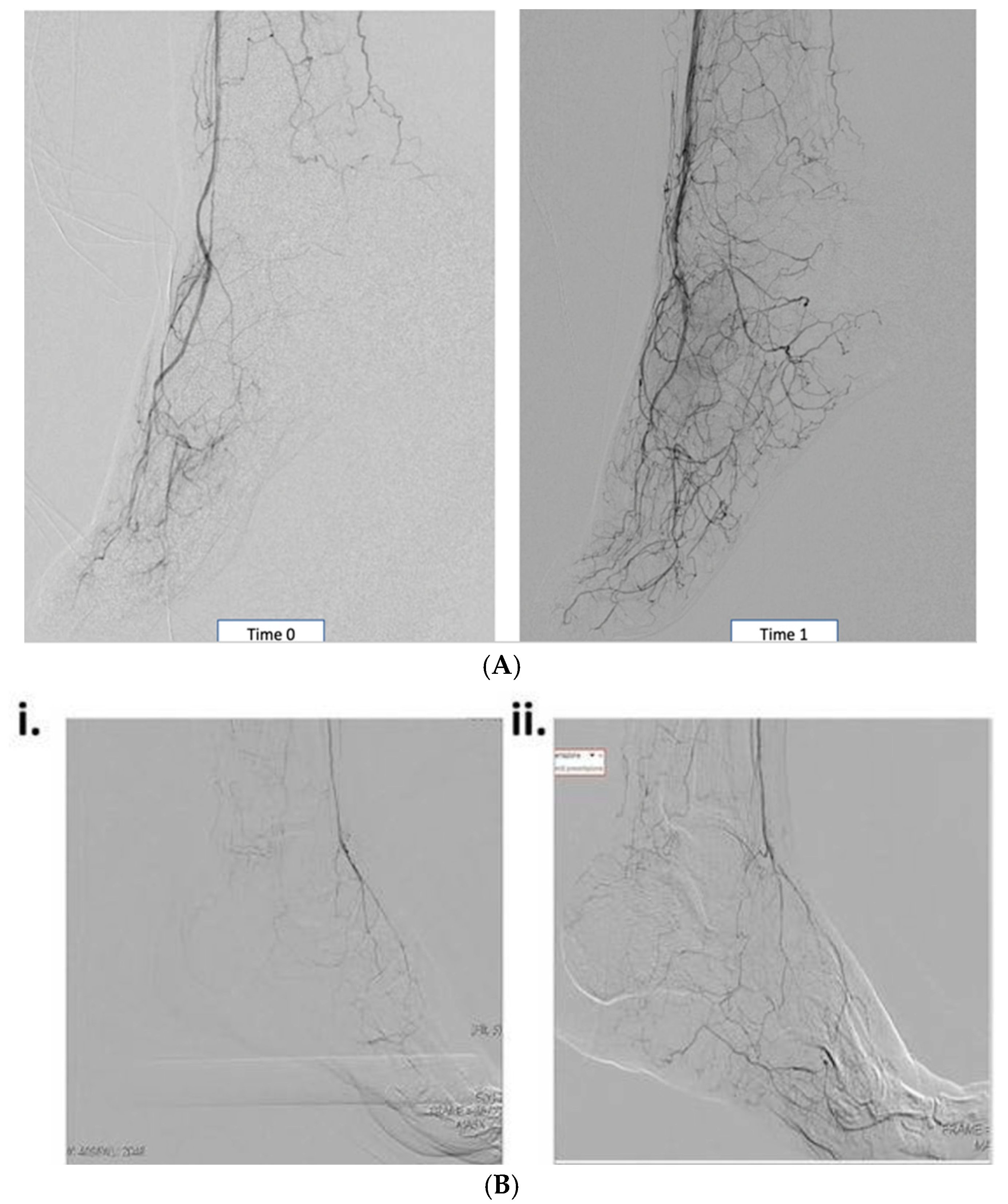 Jcm 13 07230 g001 Jcm 13 07230 g001