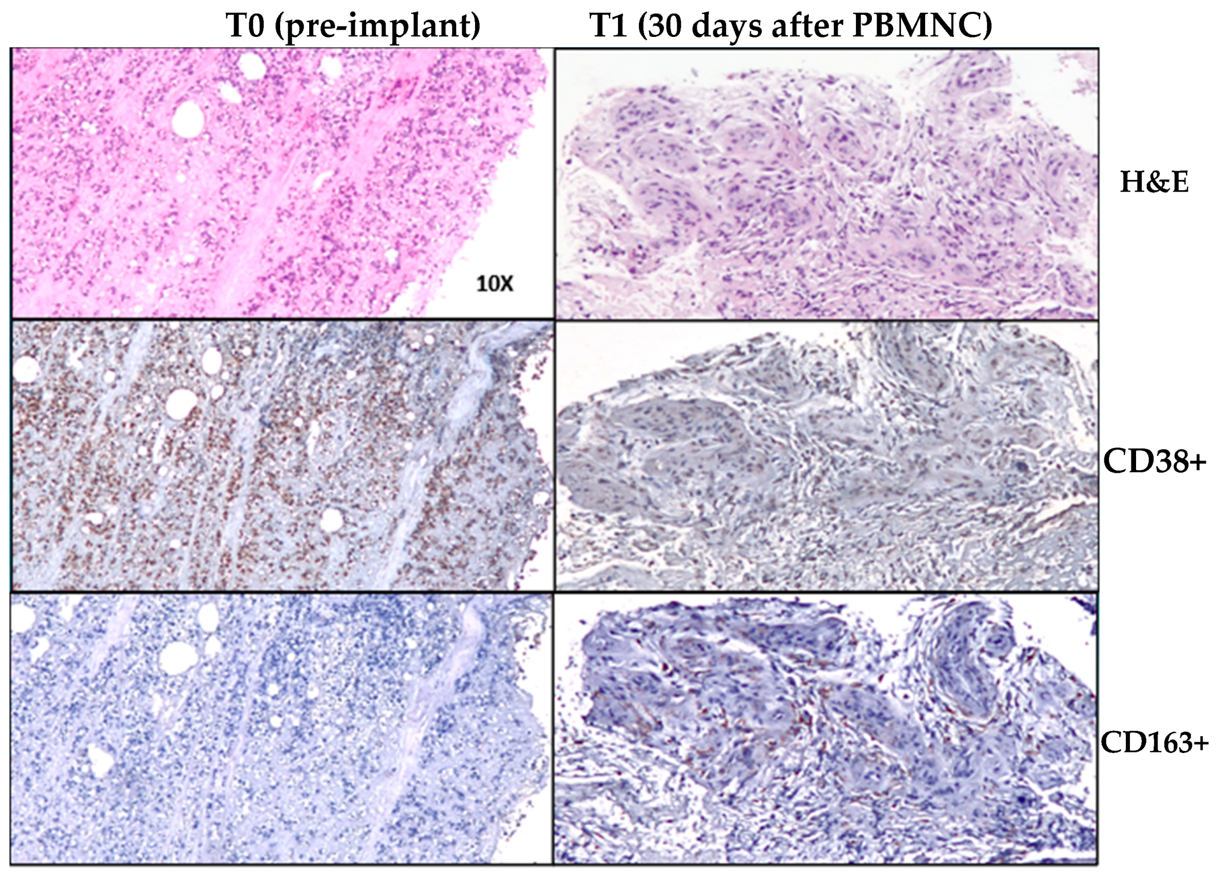 Jcm 13 07230 g002 Jcm 13 07230 g002