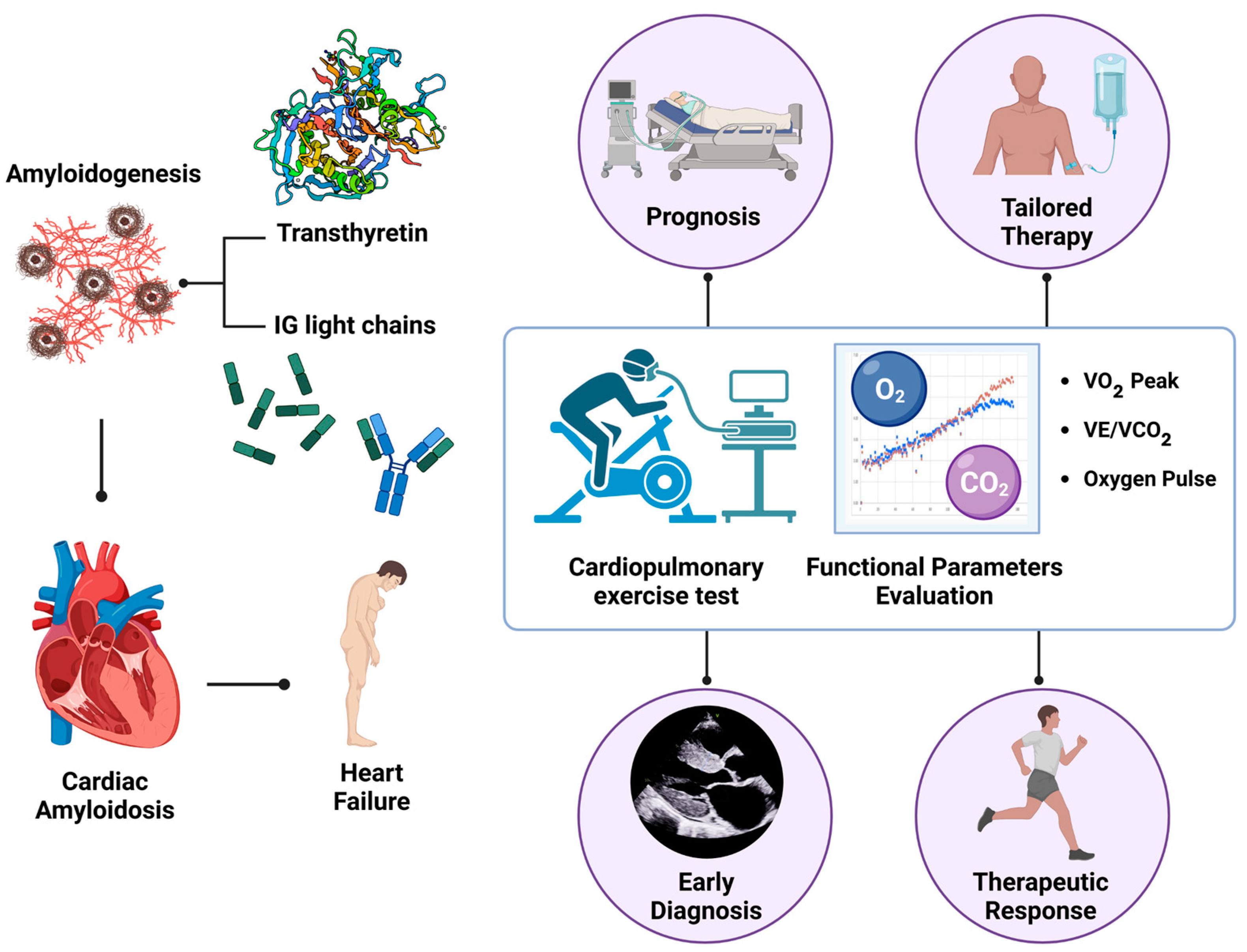 Jcm 13 07285 g001 Jcm 13 07285 g001