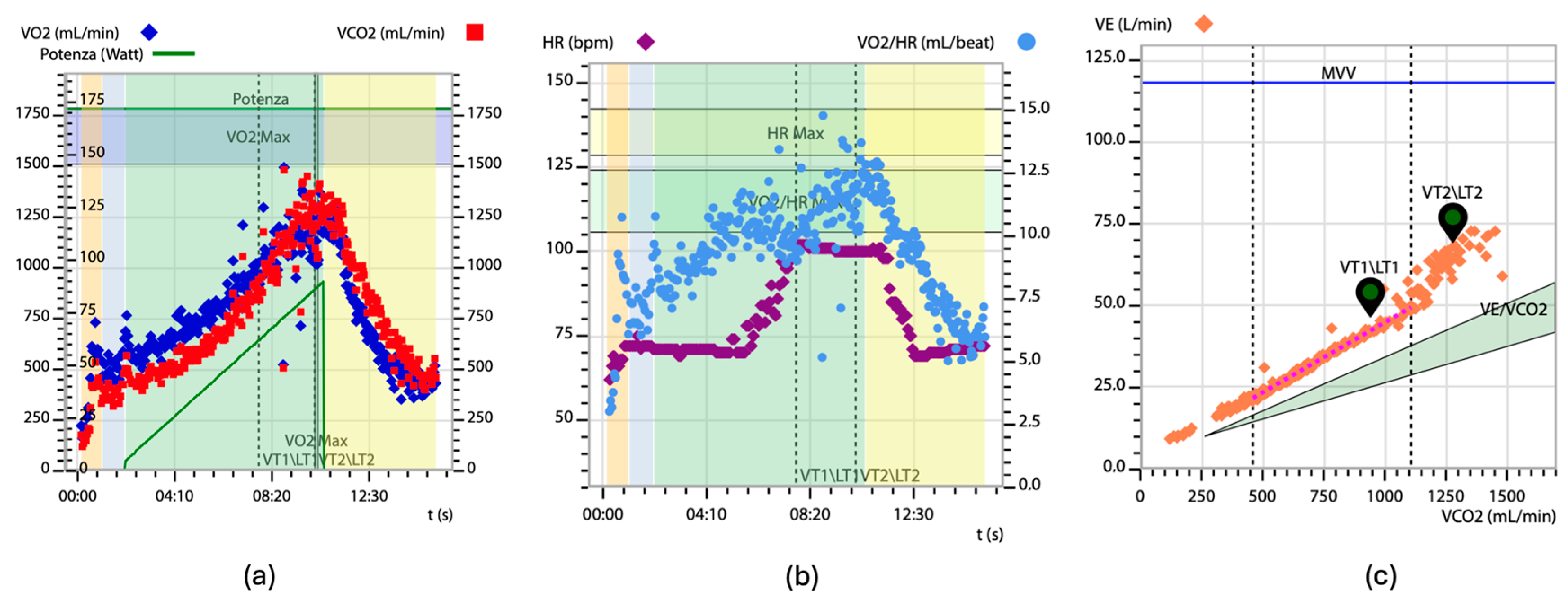 Jcm 13 07285 g002 Jcm 13 07285 g002