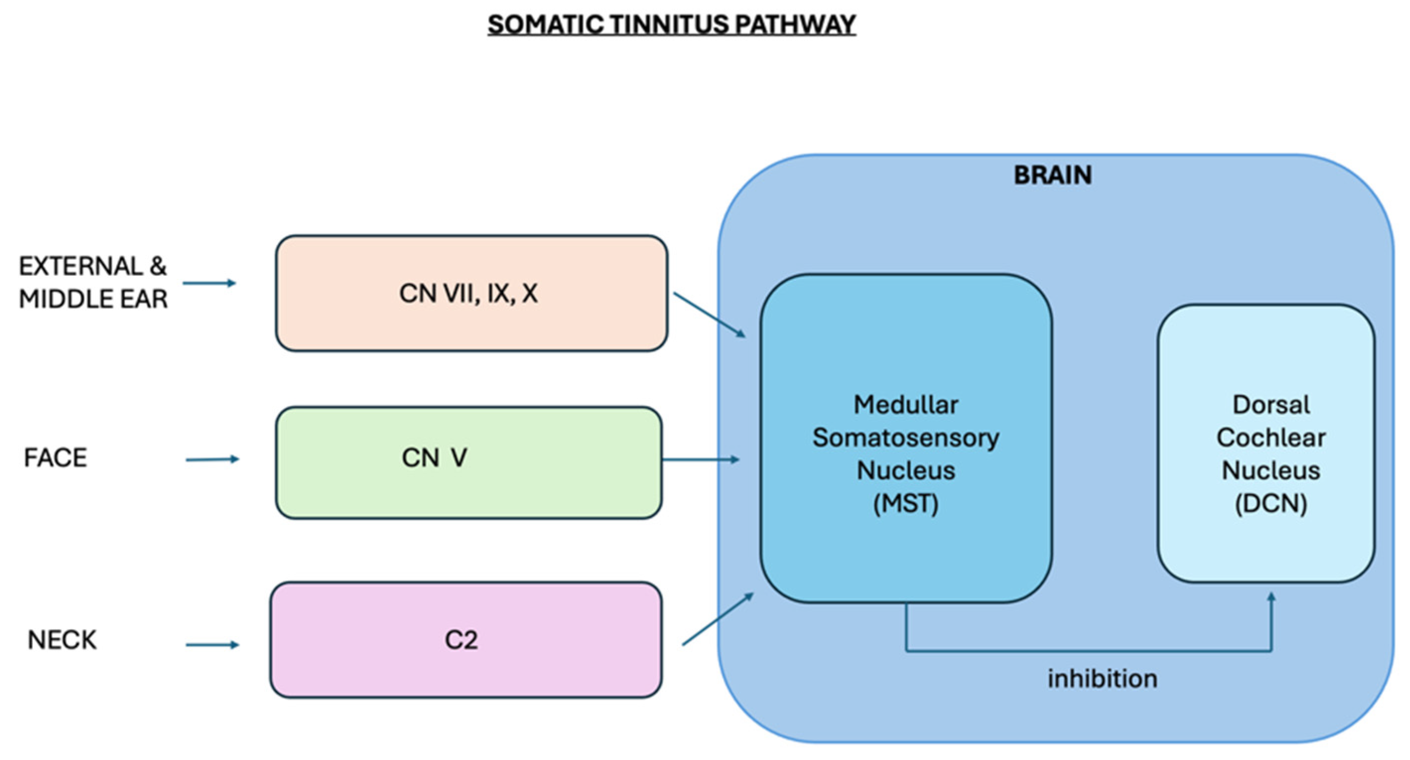 Jcm 13 07346 g002 Jcm 13 07346 g002