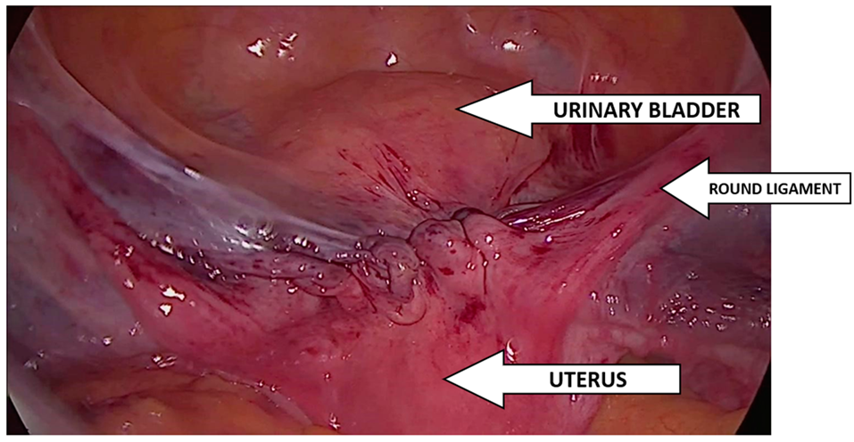 Jcm 13 07421 g003 Jcm 13 07421 g003