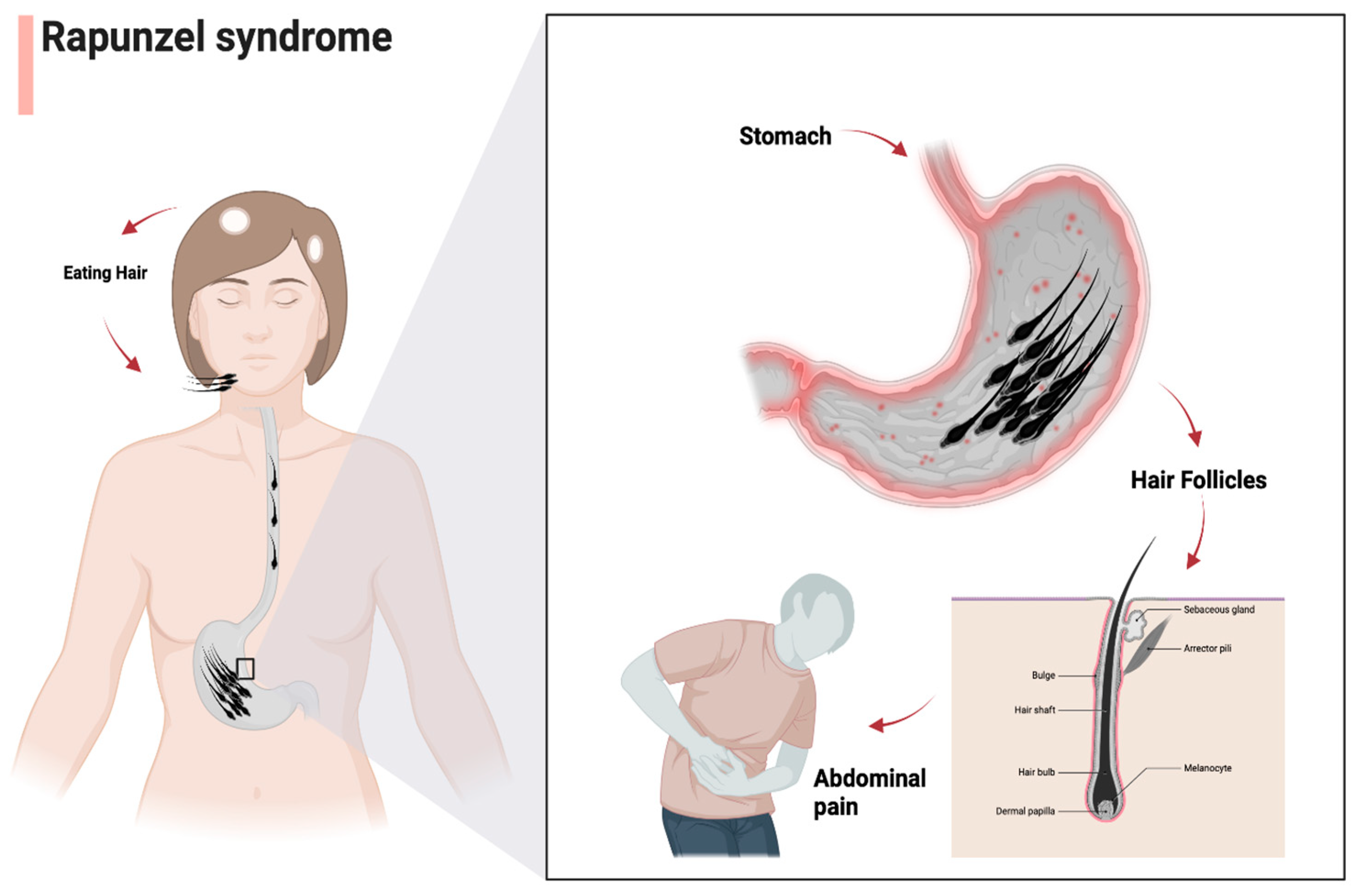 Jcm 13 07464 g002 Jcm 13 07464 g002