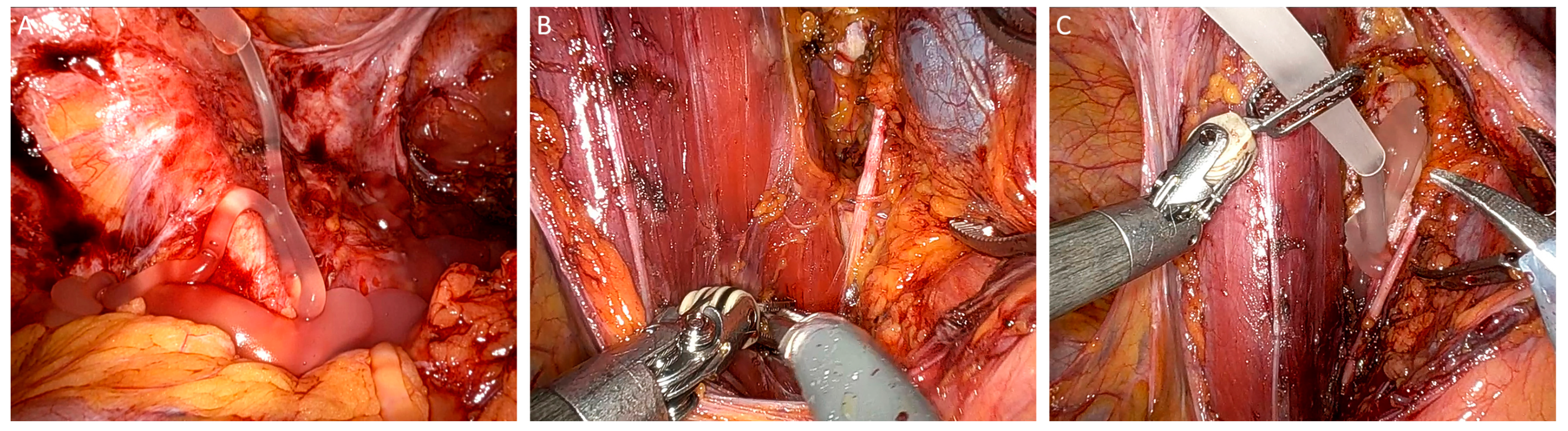 Jcm 13 07517 g003 Jcm 13 07517 g003