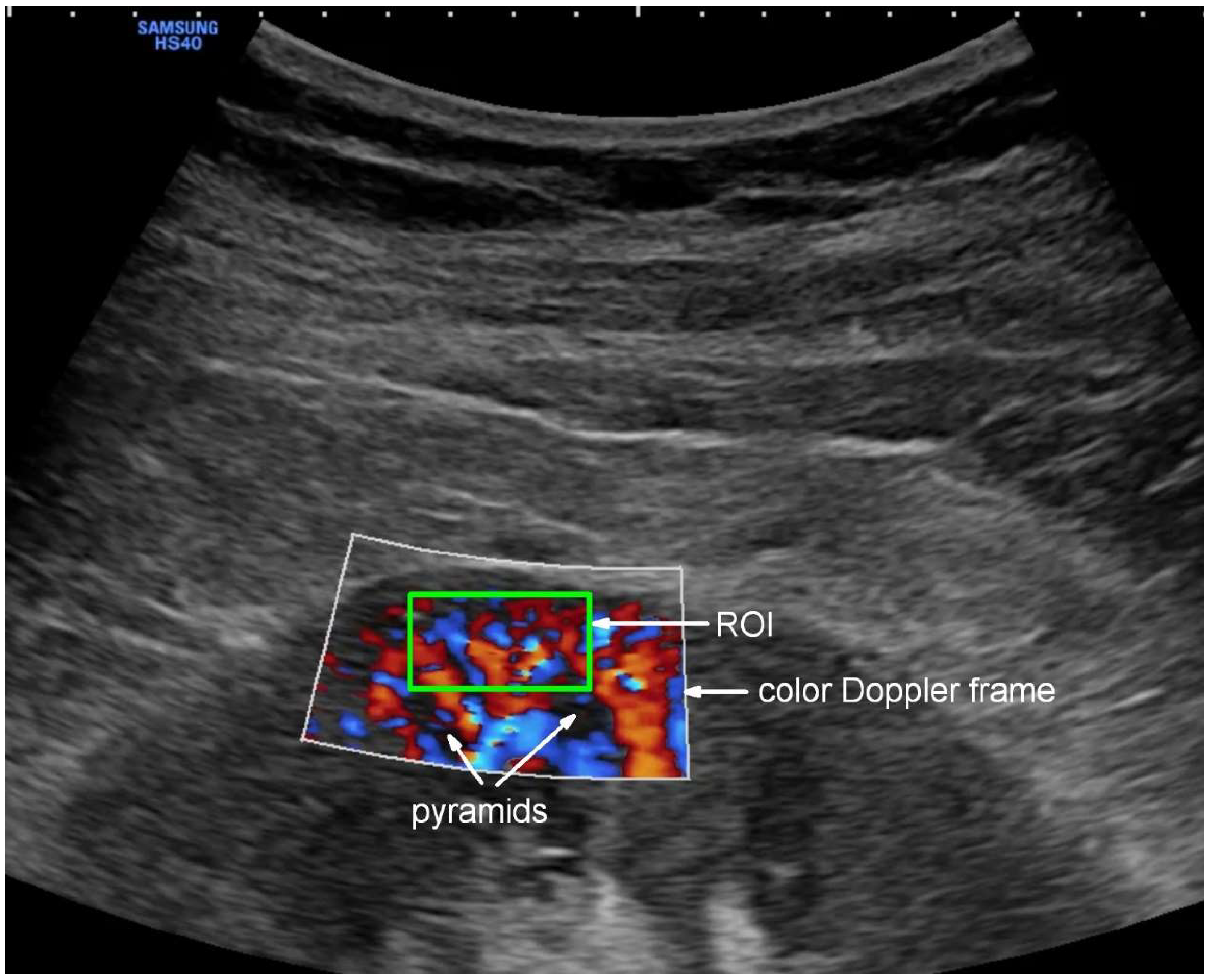 Jcm 13 07520 g002 Jcm 13 07520 g002
