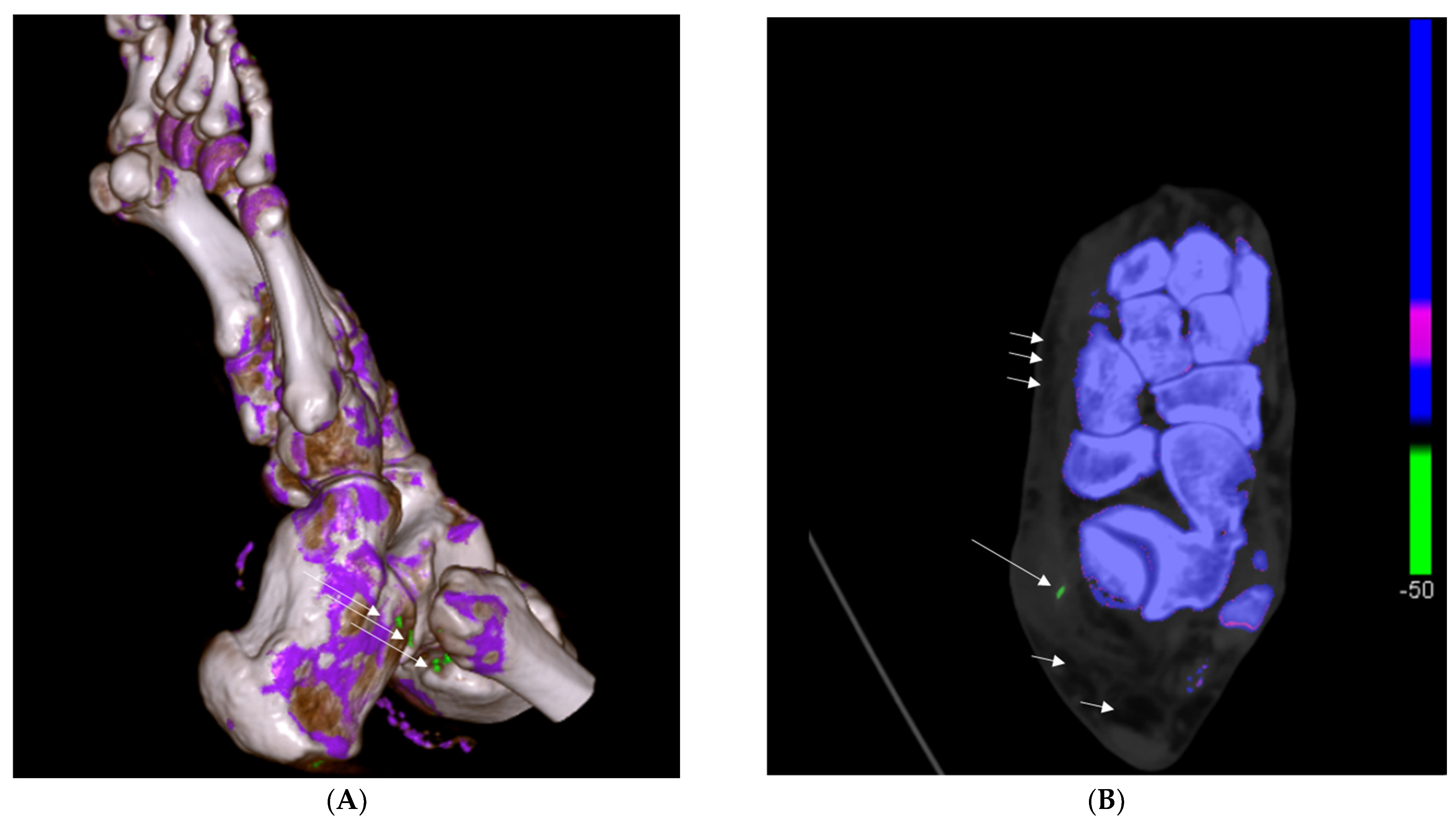 Jcm 13 07620 g003 Jcm 13 07620 g003