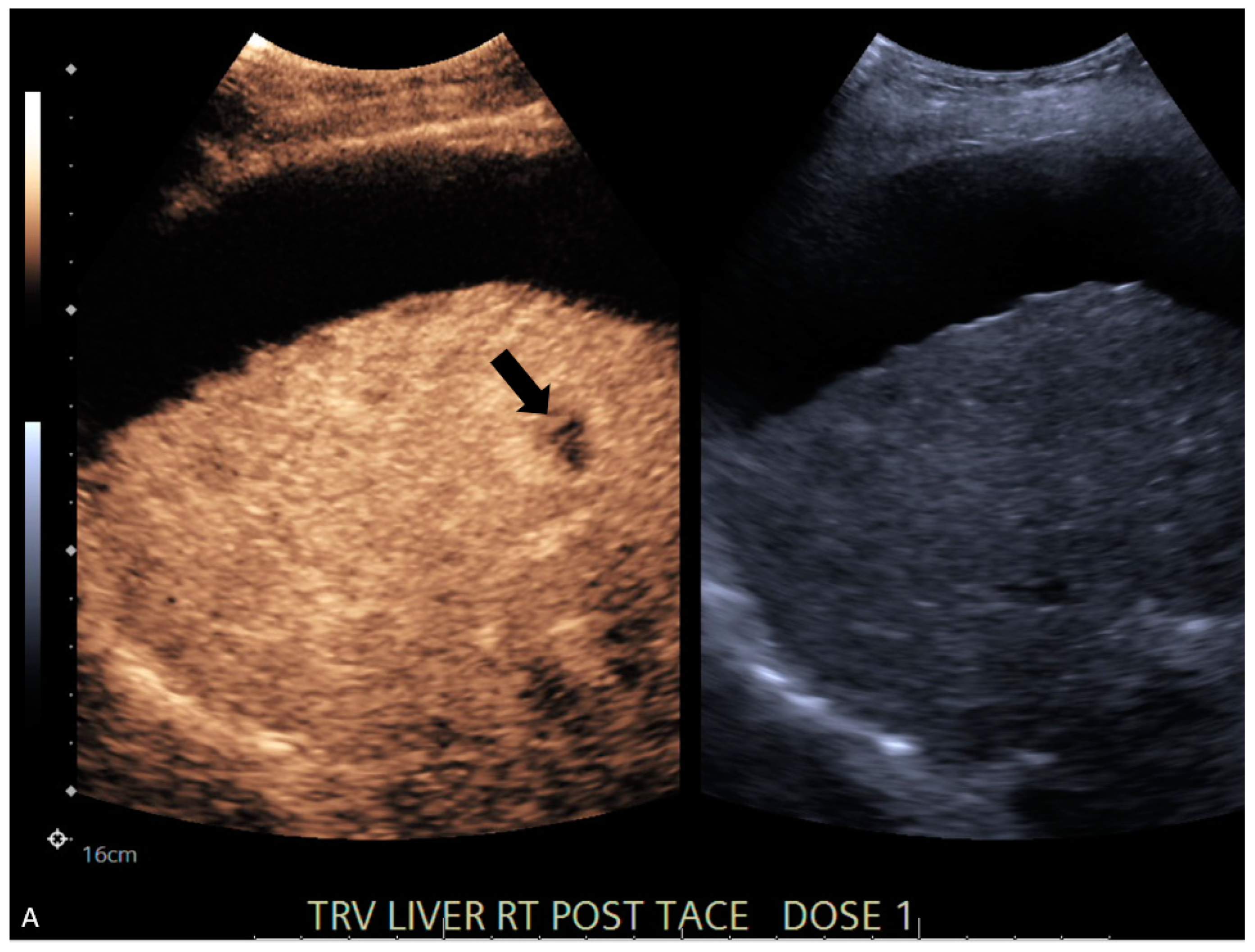 Jcm 13 07720 g001a Jcm 13 07720 g001a