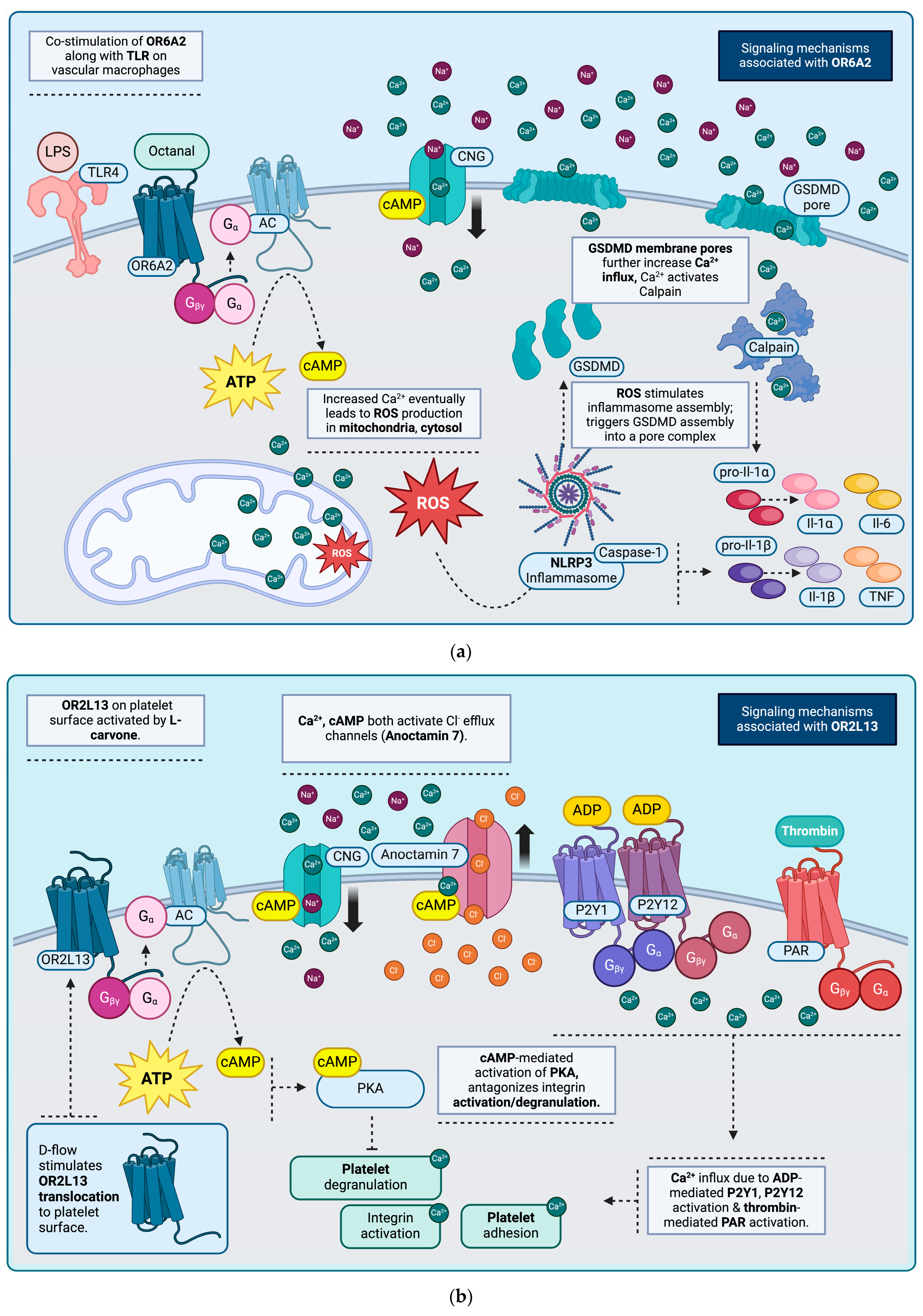 Jcm 13 07778 g001 Jcm 13 07778 g001
