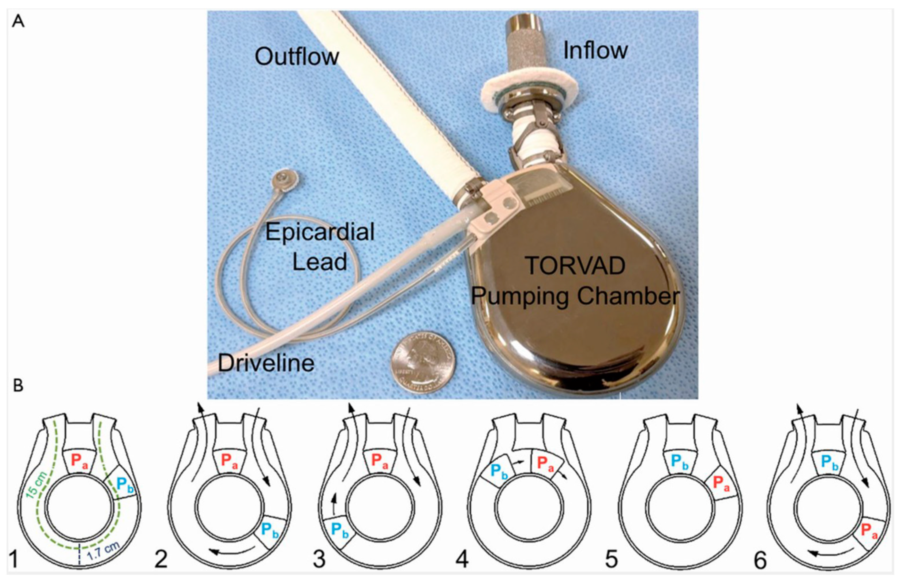 Jcm 13 07813 g003 Jcm 13 07813 g003