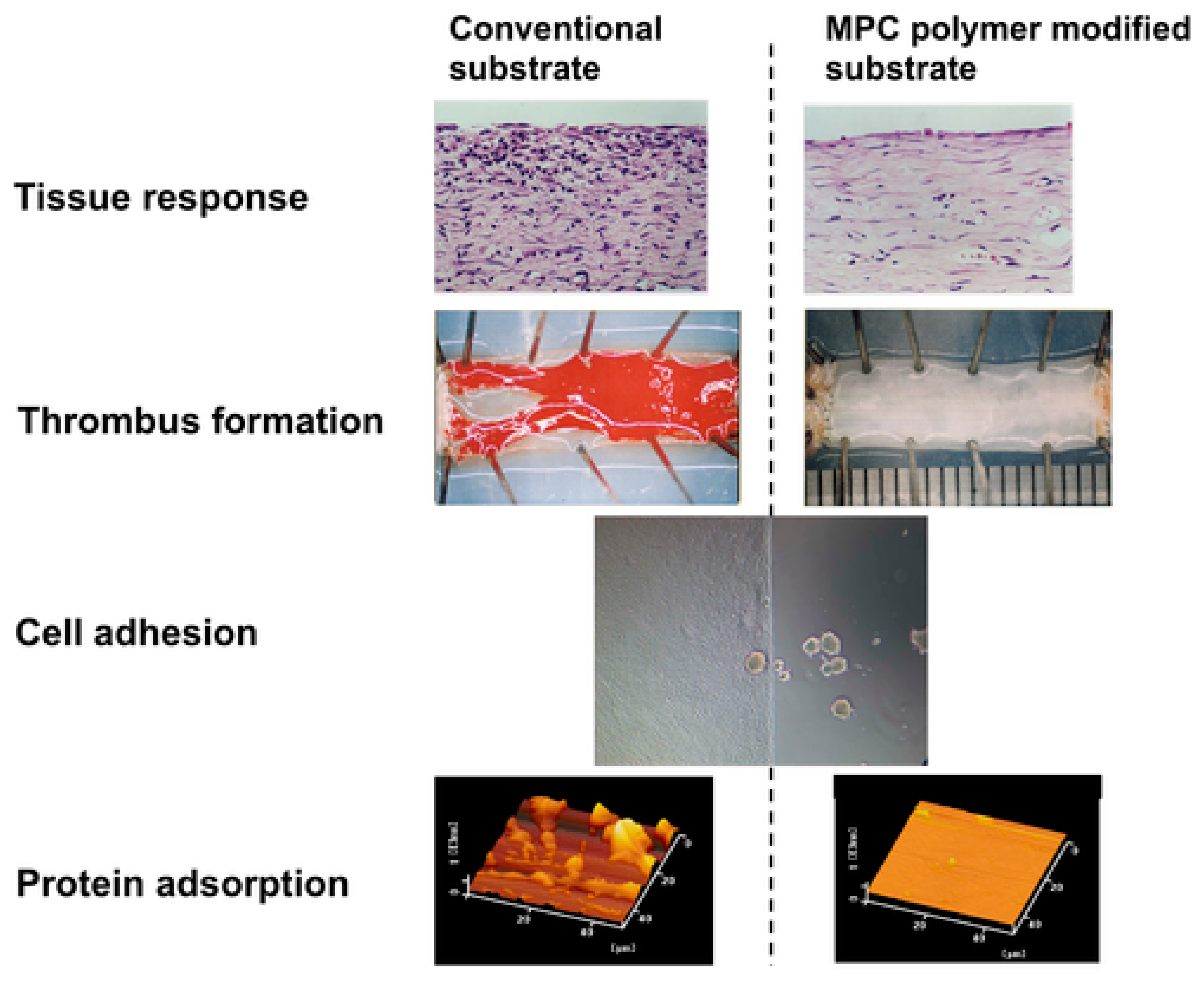 Jcm 13 07813 g004 Jcm 13 07813 g004