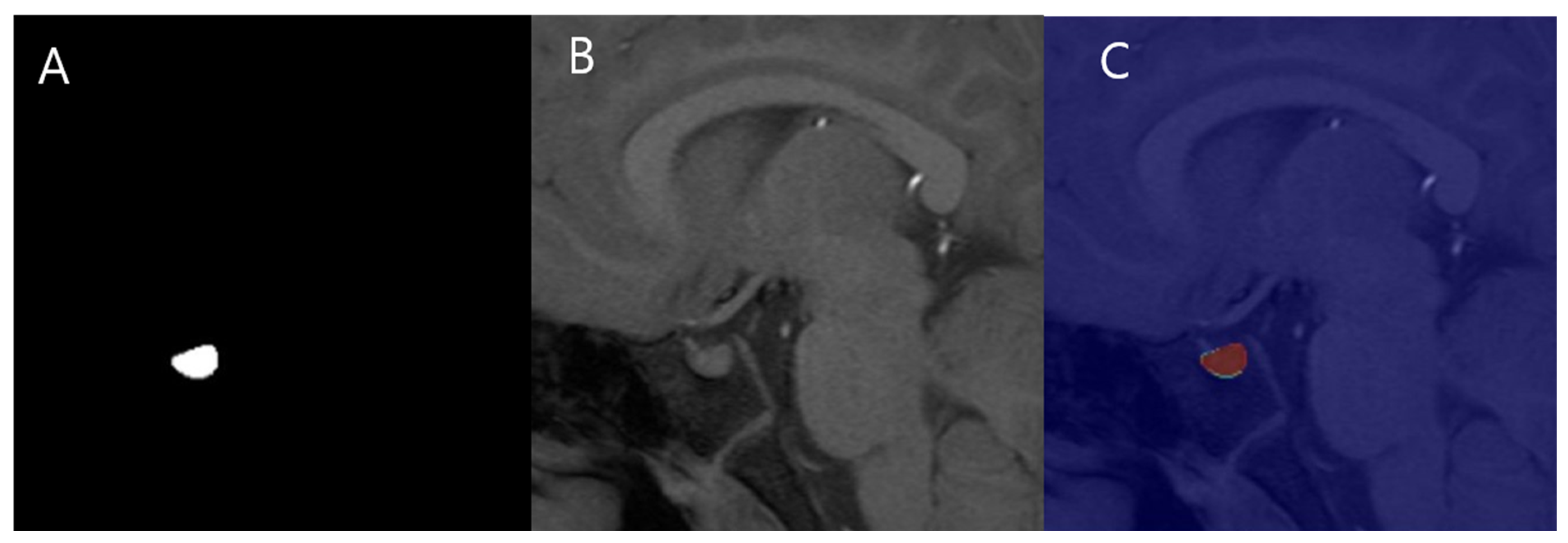 Jcm 14 00015 g003 Jcm 14 00015 g003