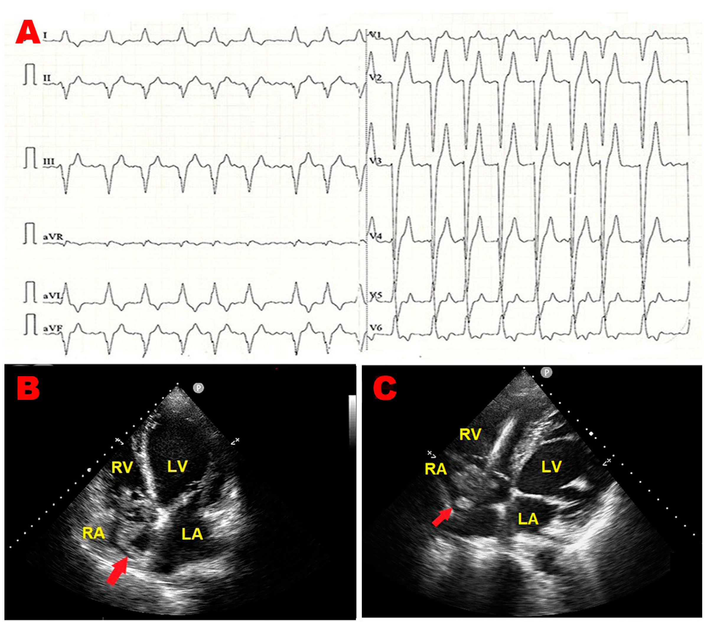 Jcm 14 00086 g001a Jcm 14 00086 g001a