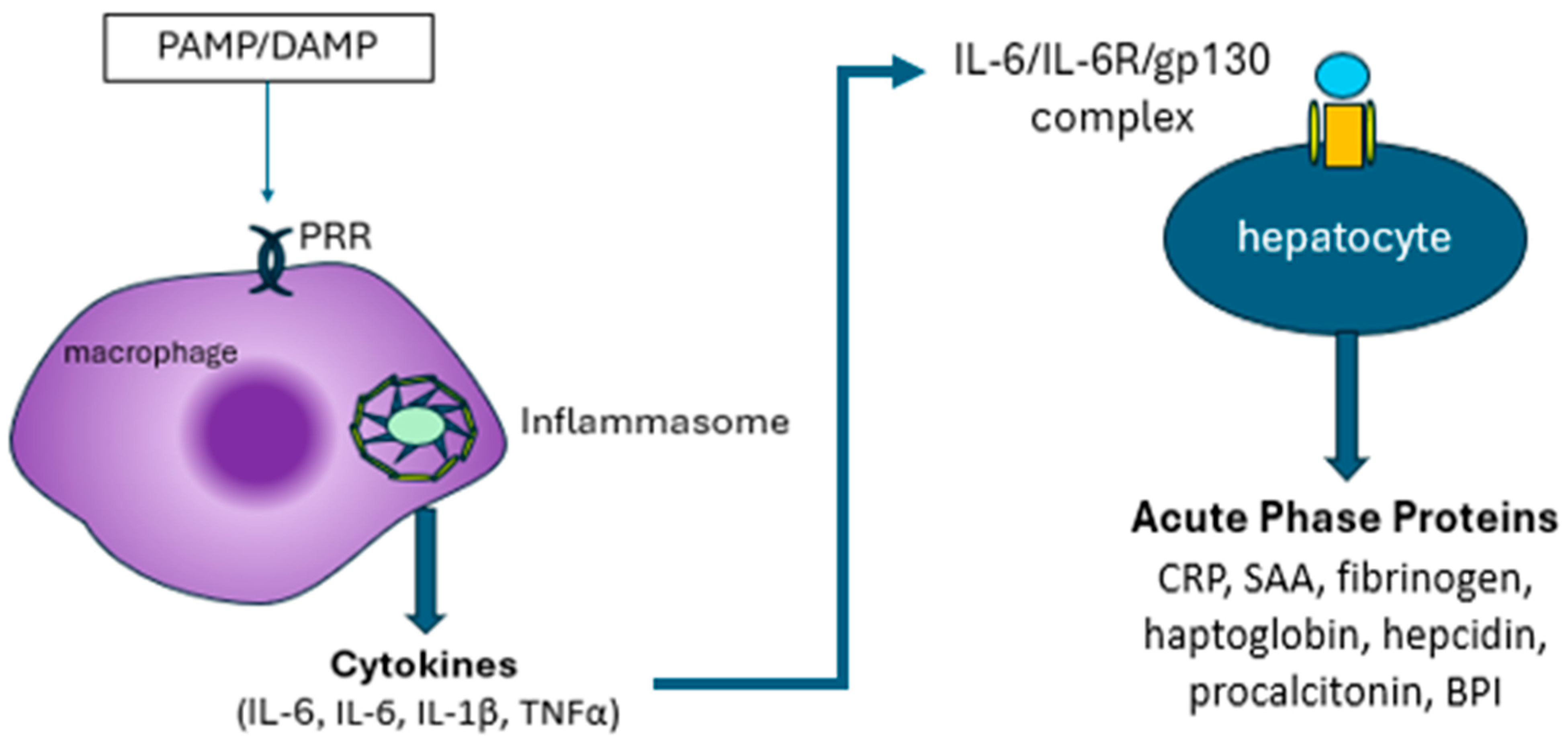 Jcm 14 00092 g002 Jcm 14 00092 g002