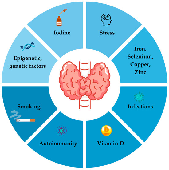 Autoimmune Thyroid Disease and Pregnancy: The Interaction Between Genetics,  Epigenetics and Environmental Factors
