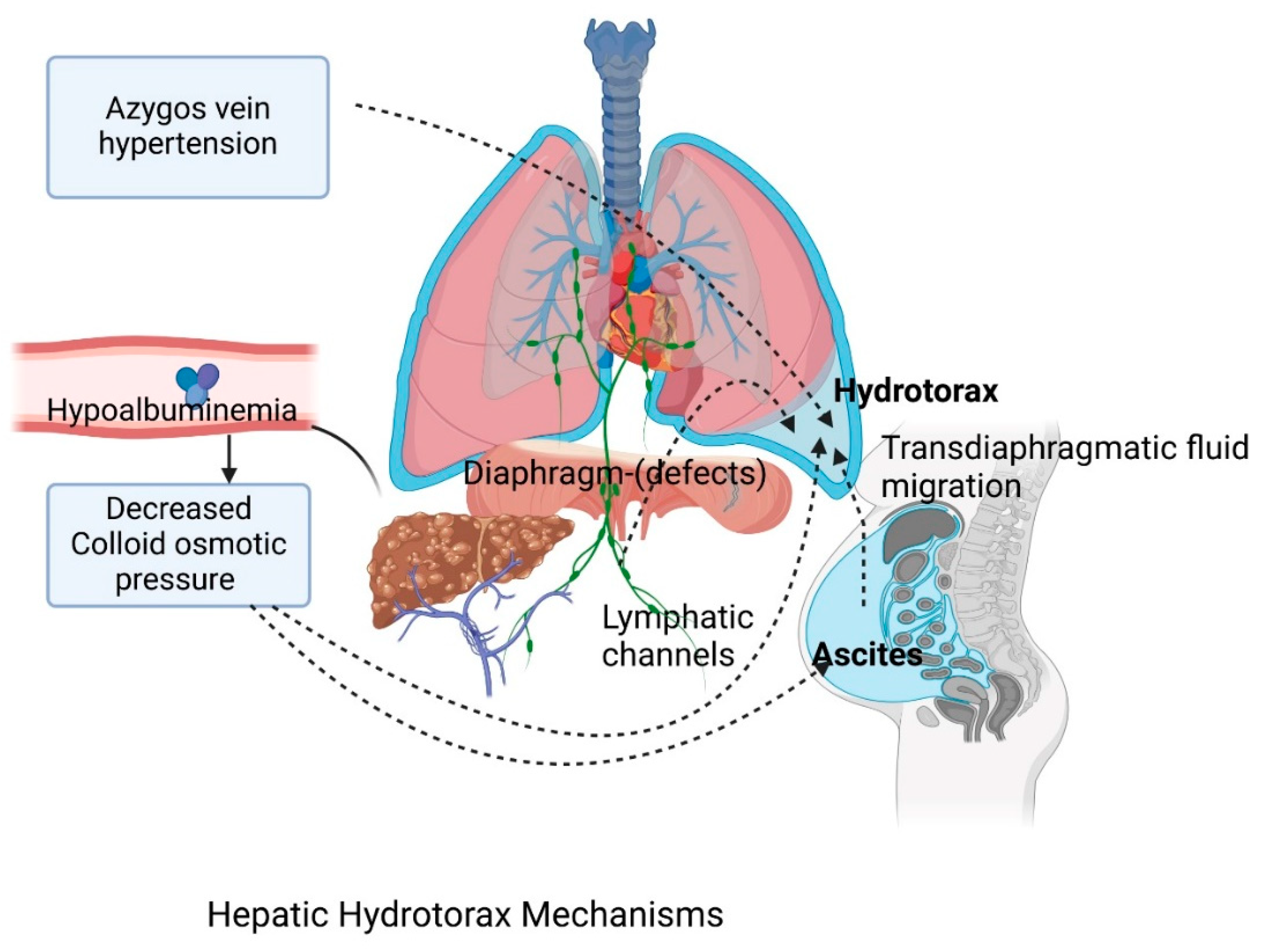 Jcm 14 00212 g001 Jcm 14 00212 g001