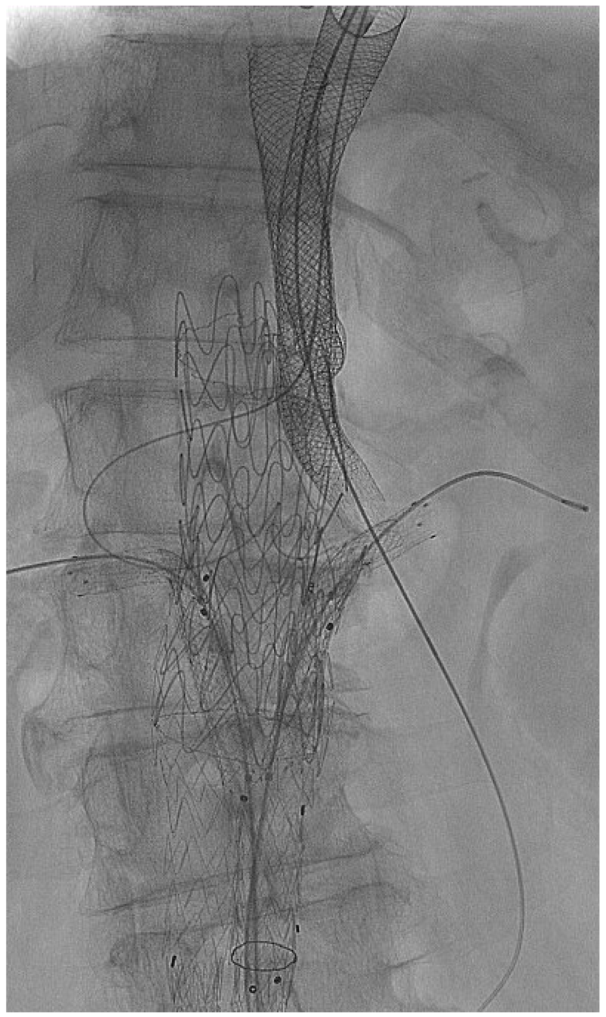 Jcm 14 00234 g001 Jcm 14 00234 g001
