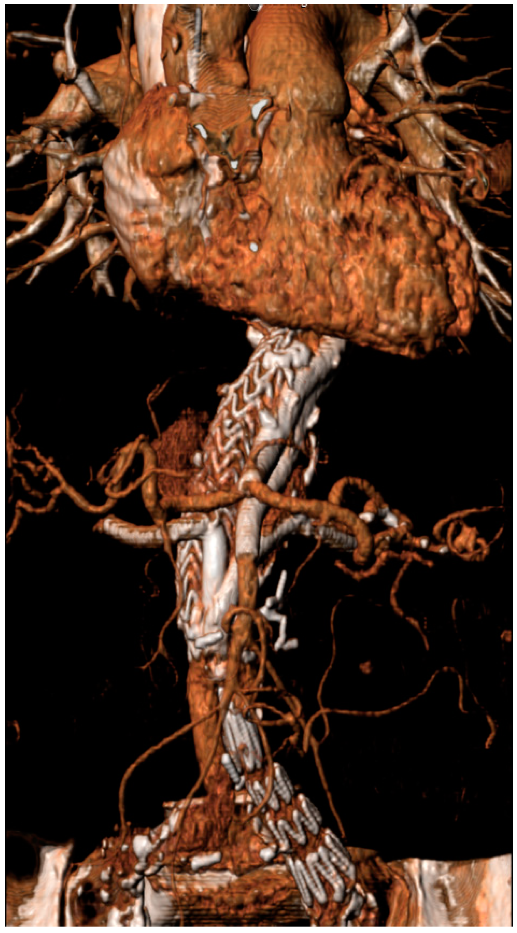 Jcm 14 00234 g002 Jcm 14 00234 g002