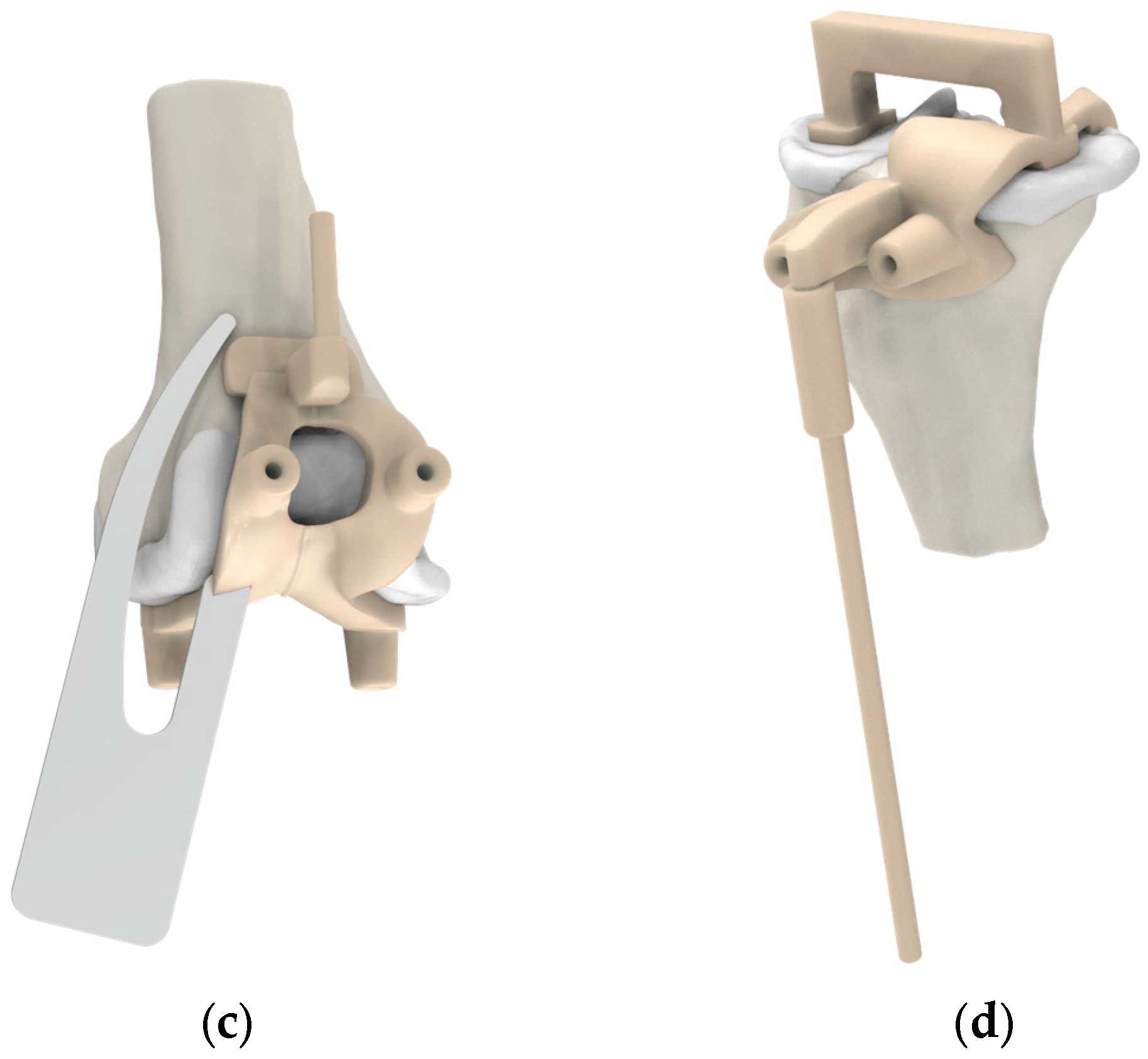 Jcm 14 00307 g001b Jcm 14 00307 g001b