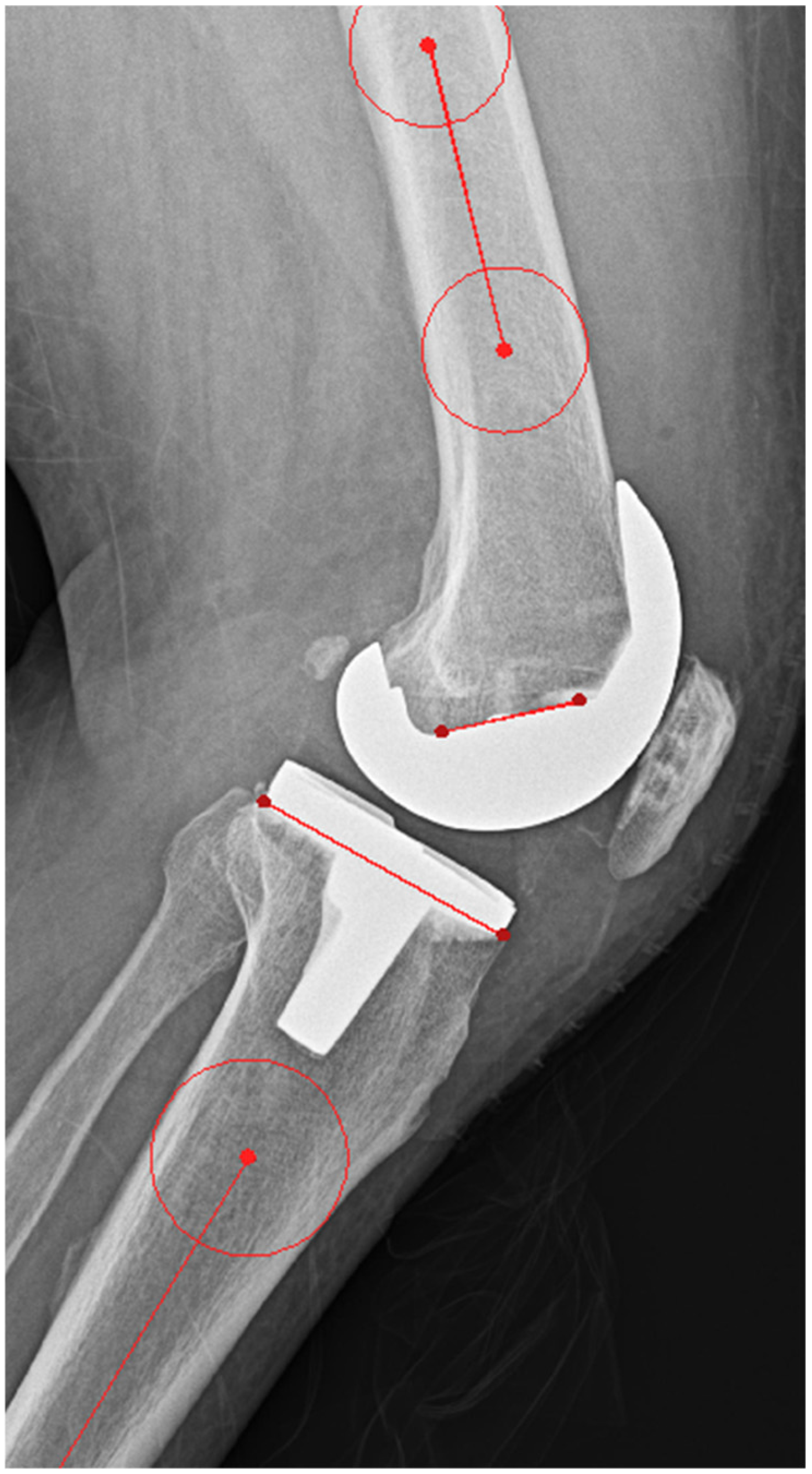 Jcm 14 00307 g004 Jcm 14 00307 g004