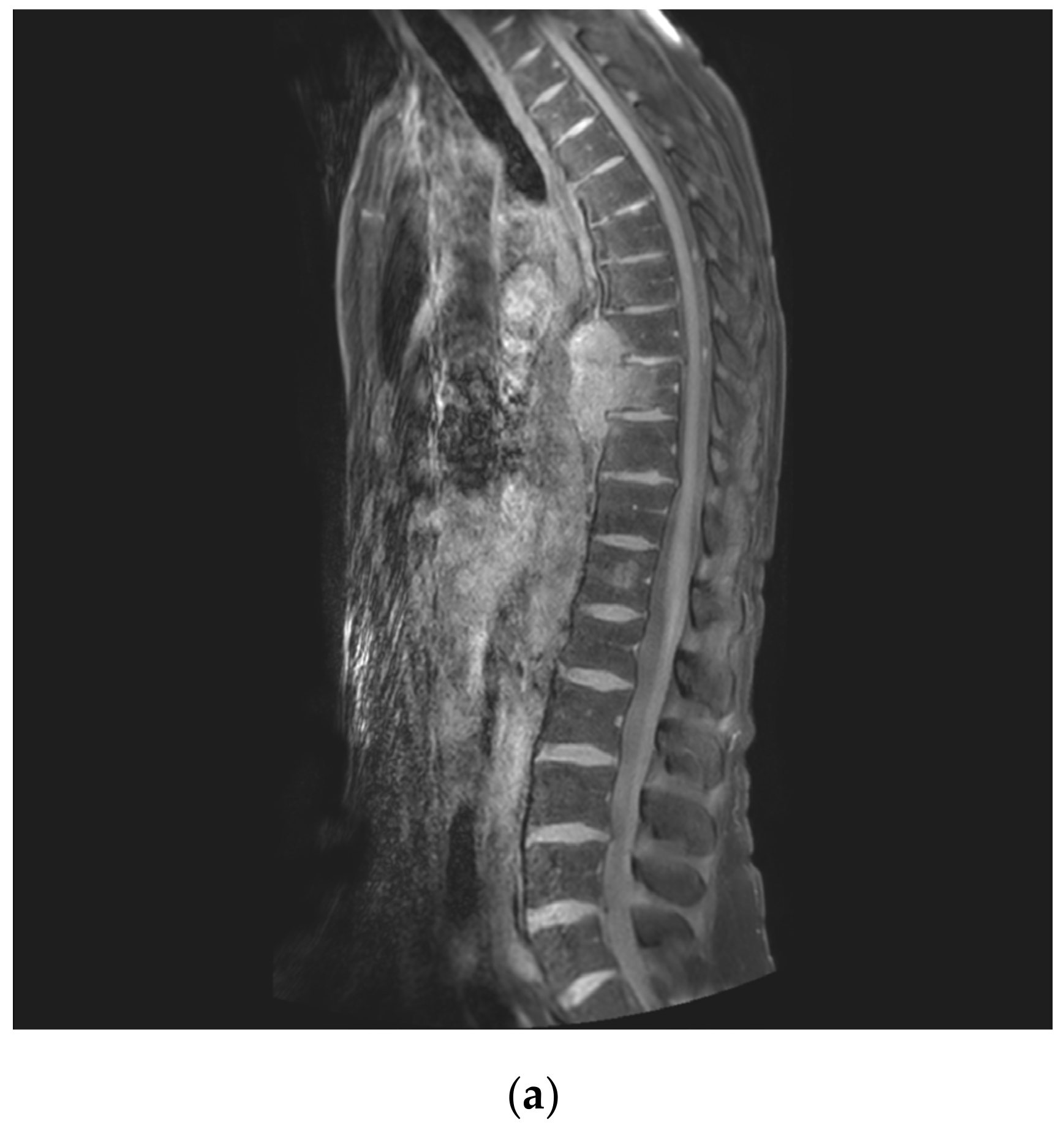 Jcm 14 00349 g002a Jcm 14 00349 g002a