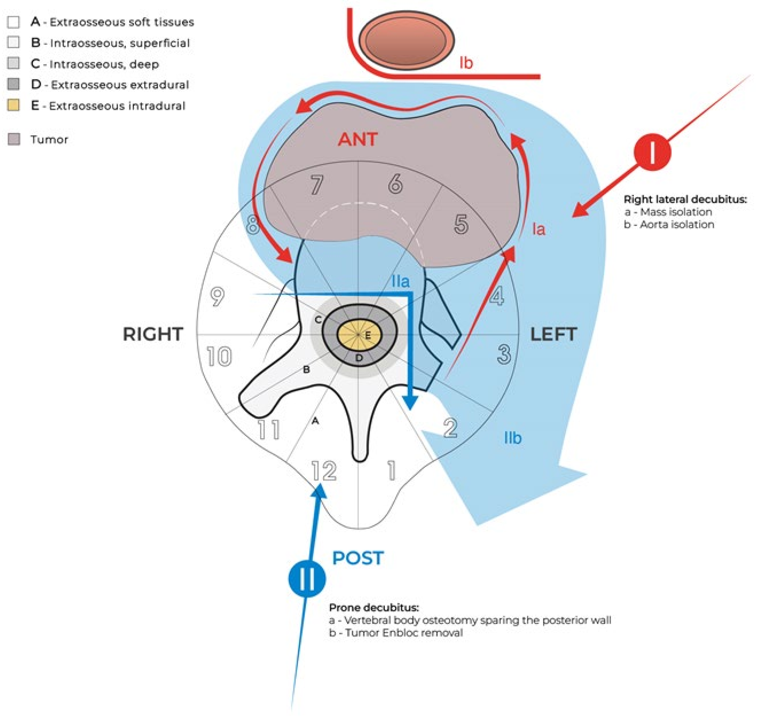 Jcm 14 00349 g003 Jcm 14 00349 g003