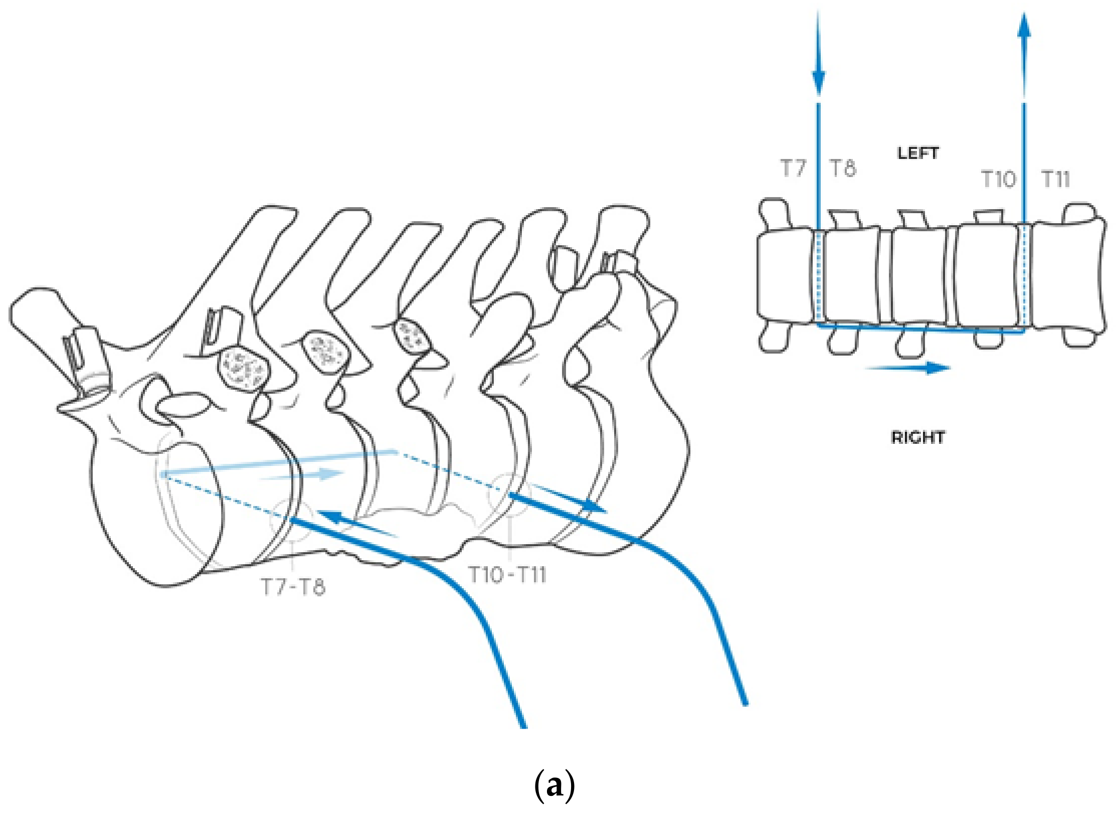 Jcm 14 00349 g006a Jcm 14 00349 g006a
