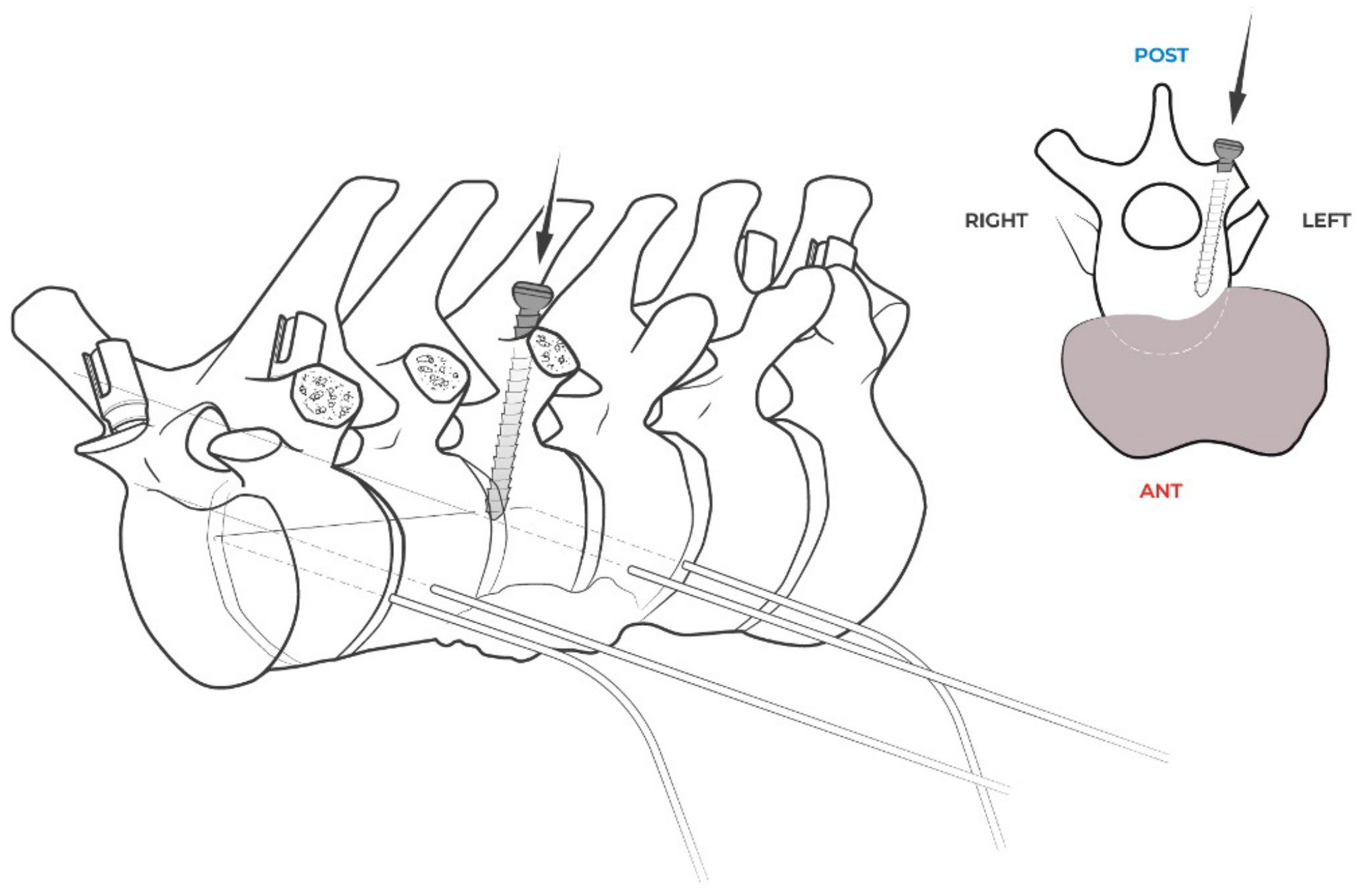 Jcm 14 00349 g007 Jcm 14 00349 g007