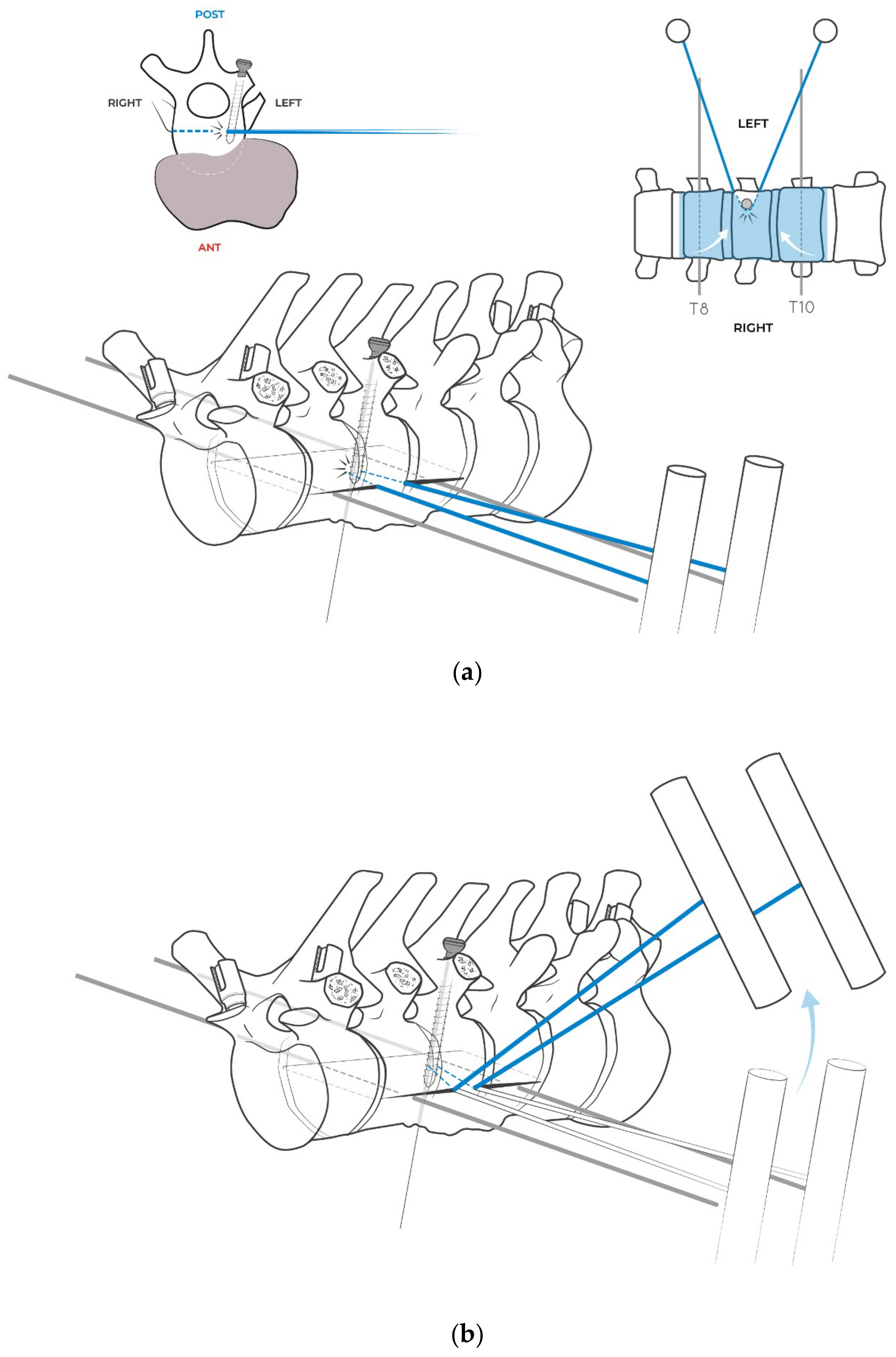 Jcm 14 00349 g009a Jcm 14 00349 g009a
