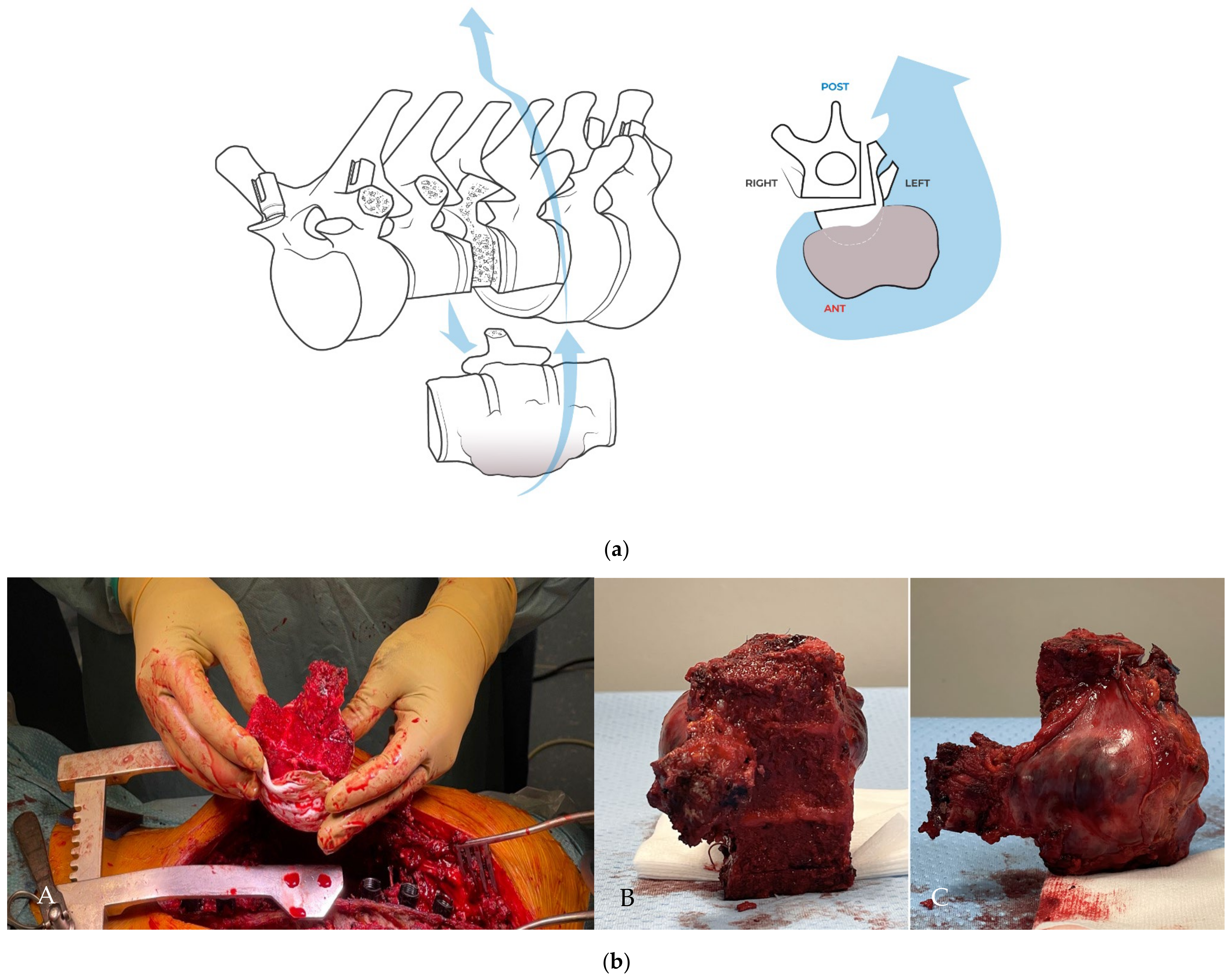 Jcm 14 00349 g010 Jcm 14 00349 g010