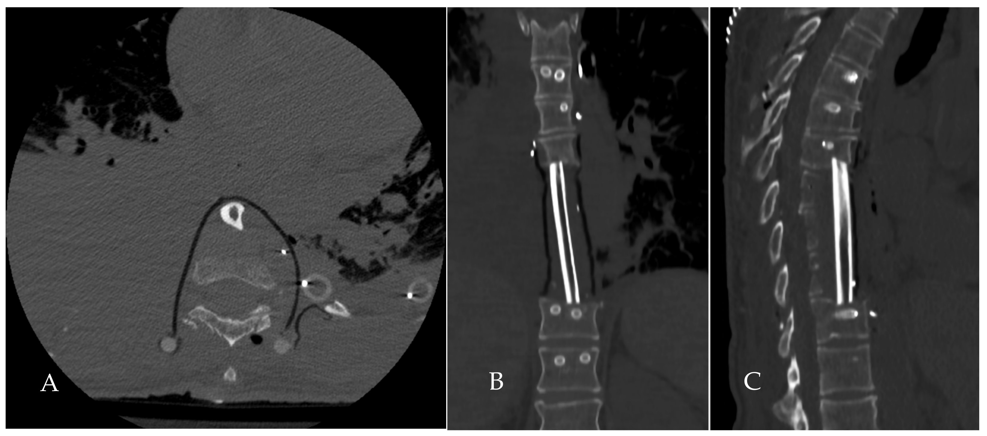 Jcm 14 00349 g011 Jcm 14 00349 g011