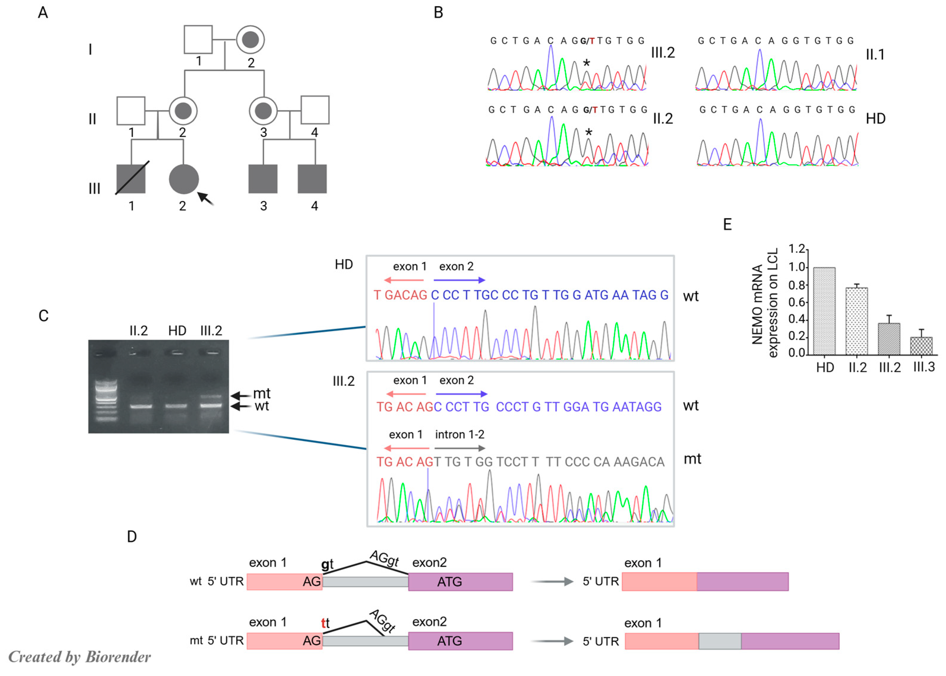 Jcm 14 00363 g002 Jcm 14 00363 g002