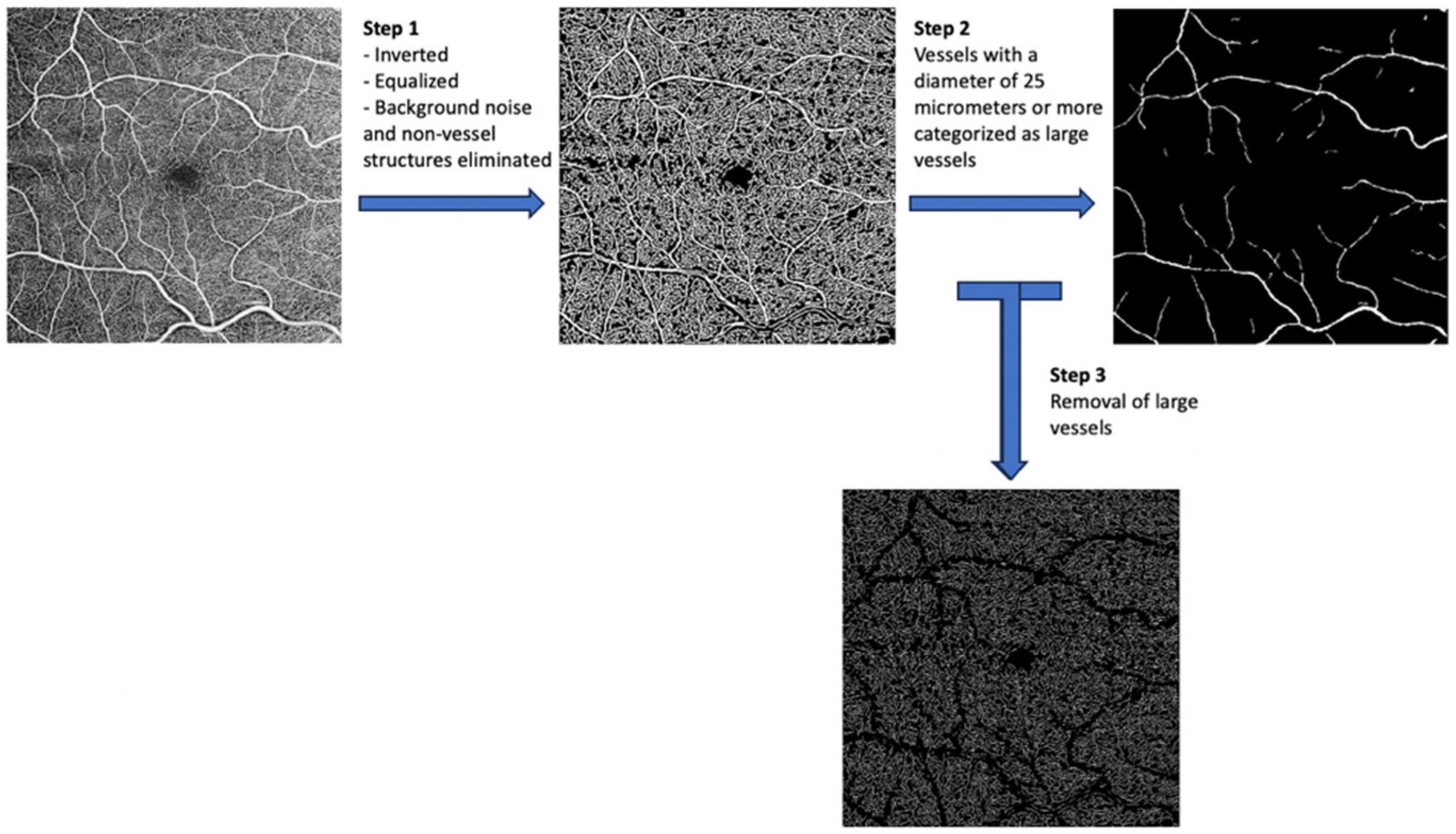 Jcm 14 00372 g002 Jcm 14 00372 g002
