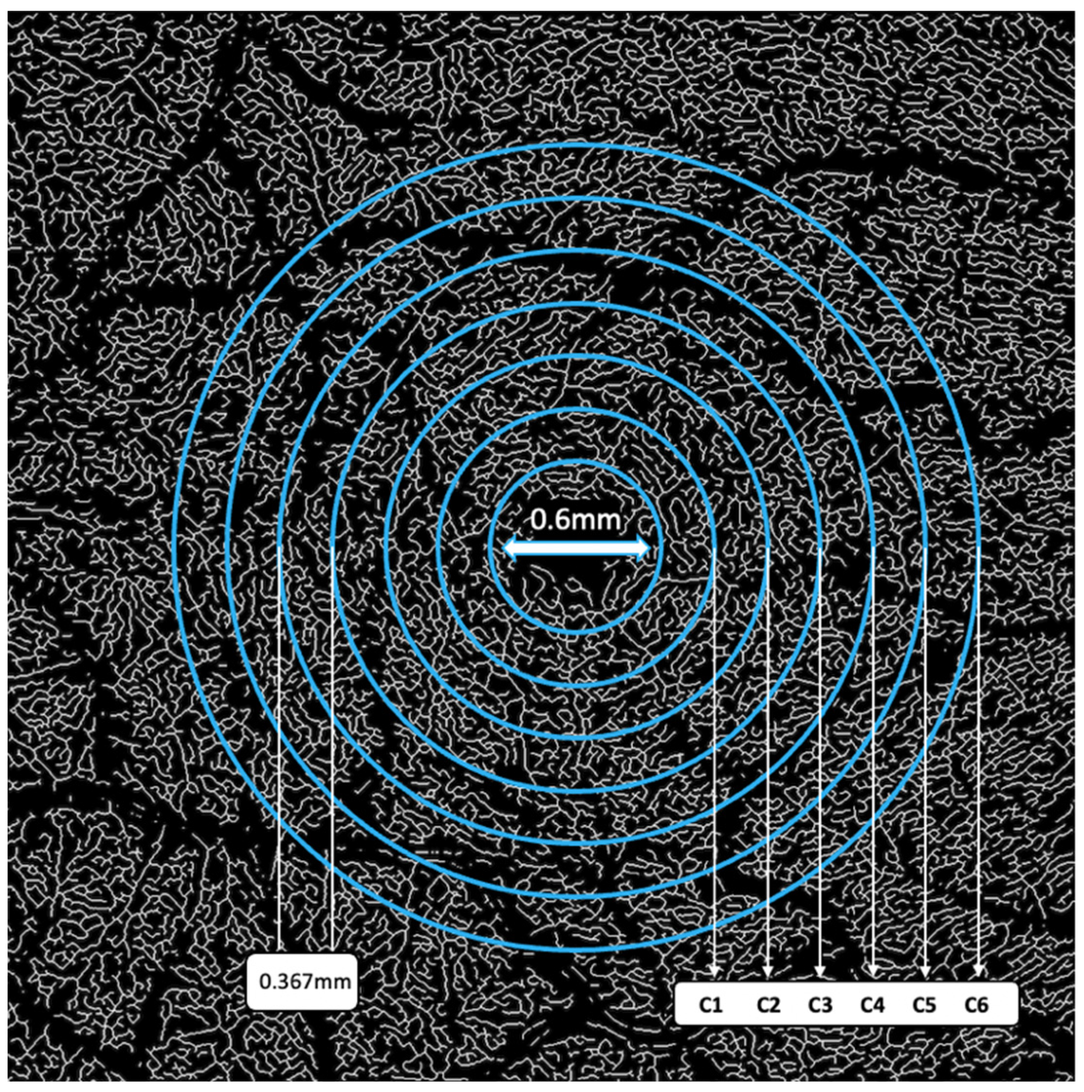 Jcm 14 00372 g003 Jcm 14 00372 g003