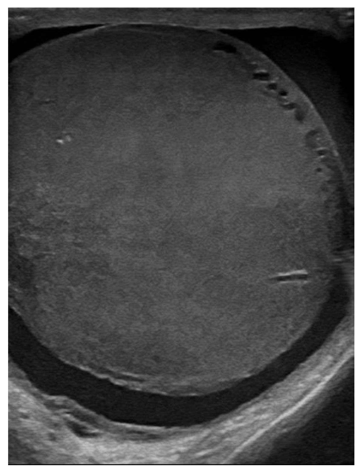 Jcm 14 00405 g001 Jcm 14 00405 g001