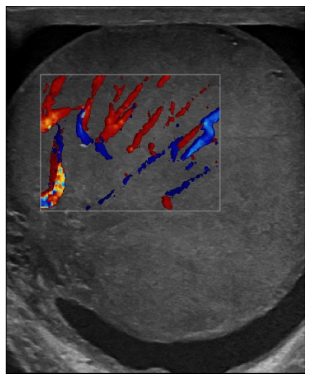 Jcm 14 00405 g002 Jcm 14 00405 g002