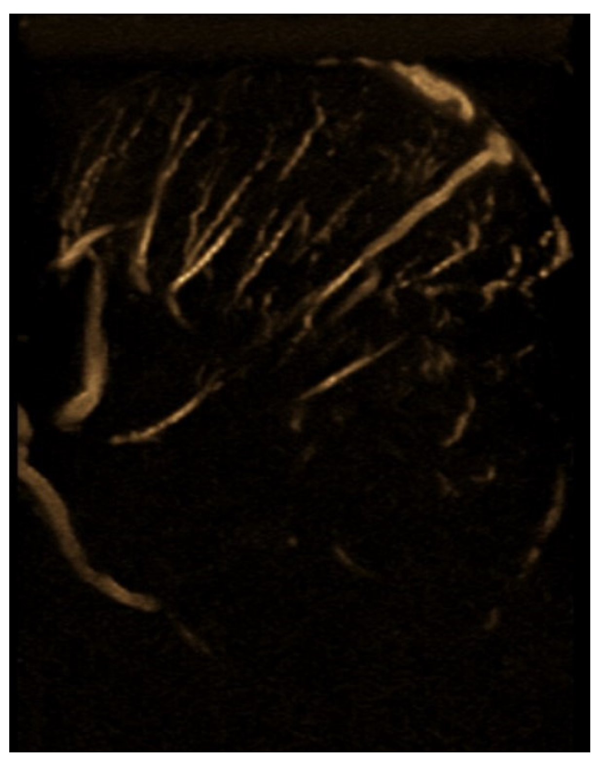 Jcm 14 00405 g003 Jcm 14 00405 g003